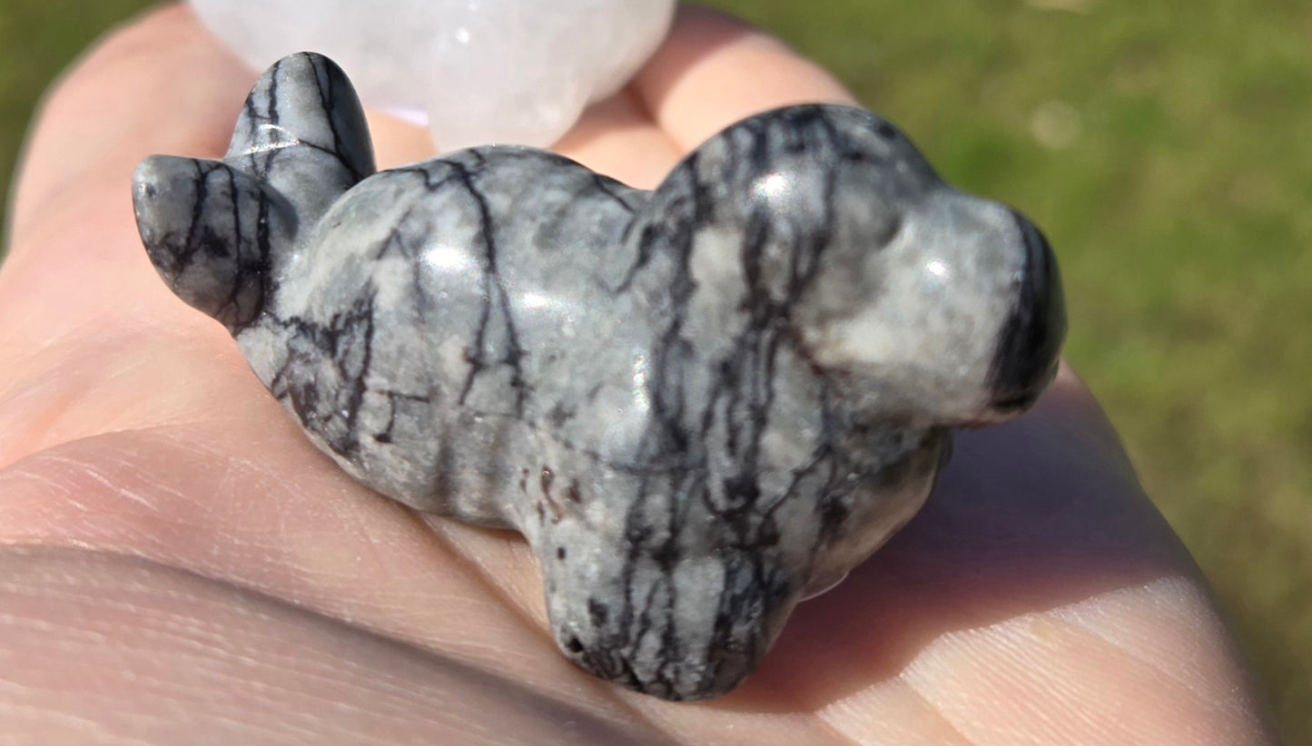 Seal Carving