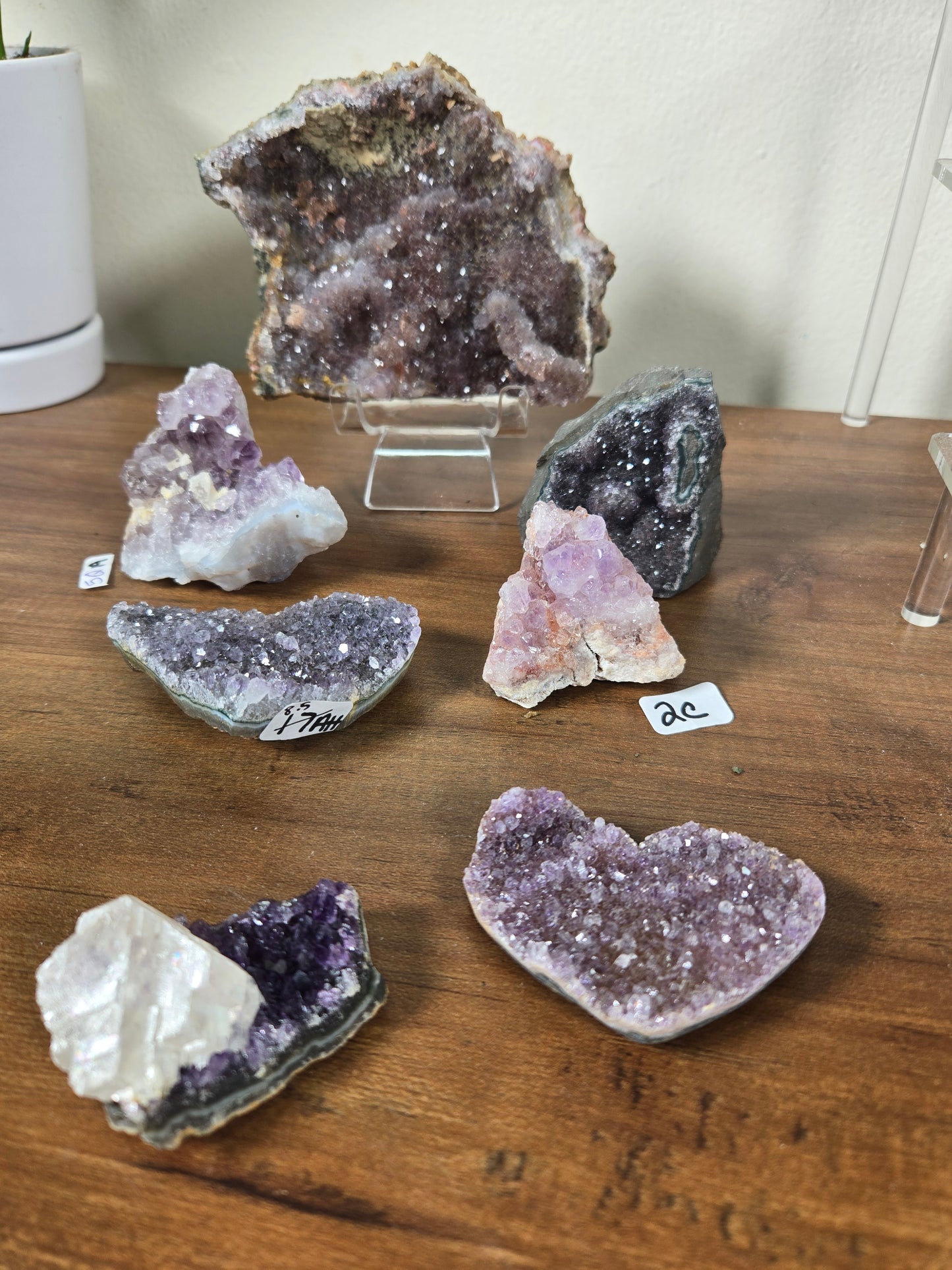 Comment to Claim Nicole Robin(2 of 3)
