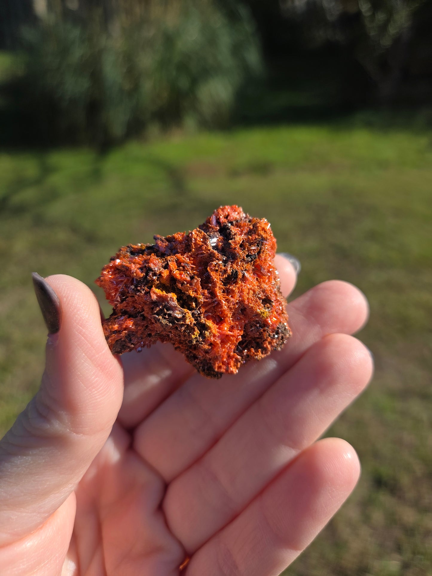 Crocoite (Tasmania, Australia)