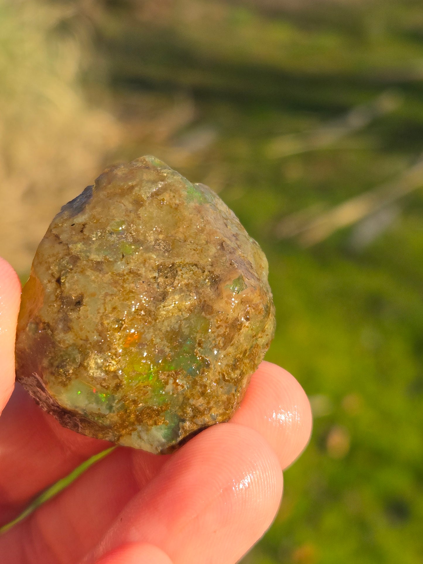 Ethiopian Water Opal (7)