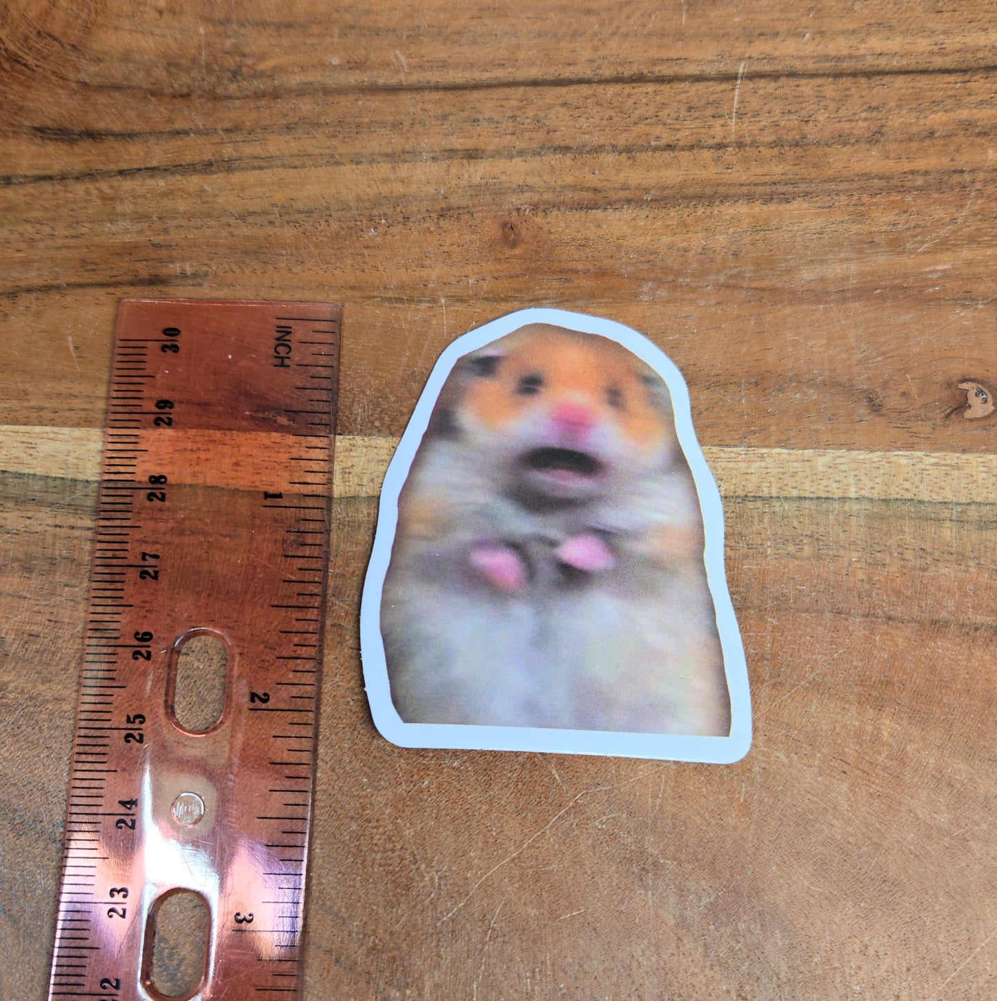 Nervous Hamster πΉ Sticker