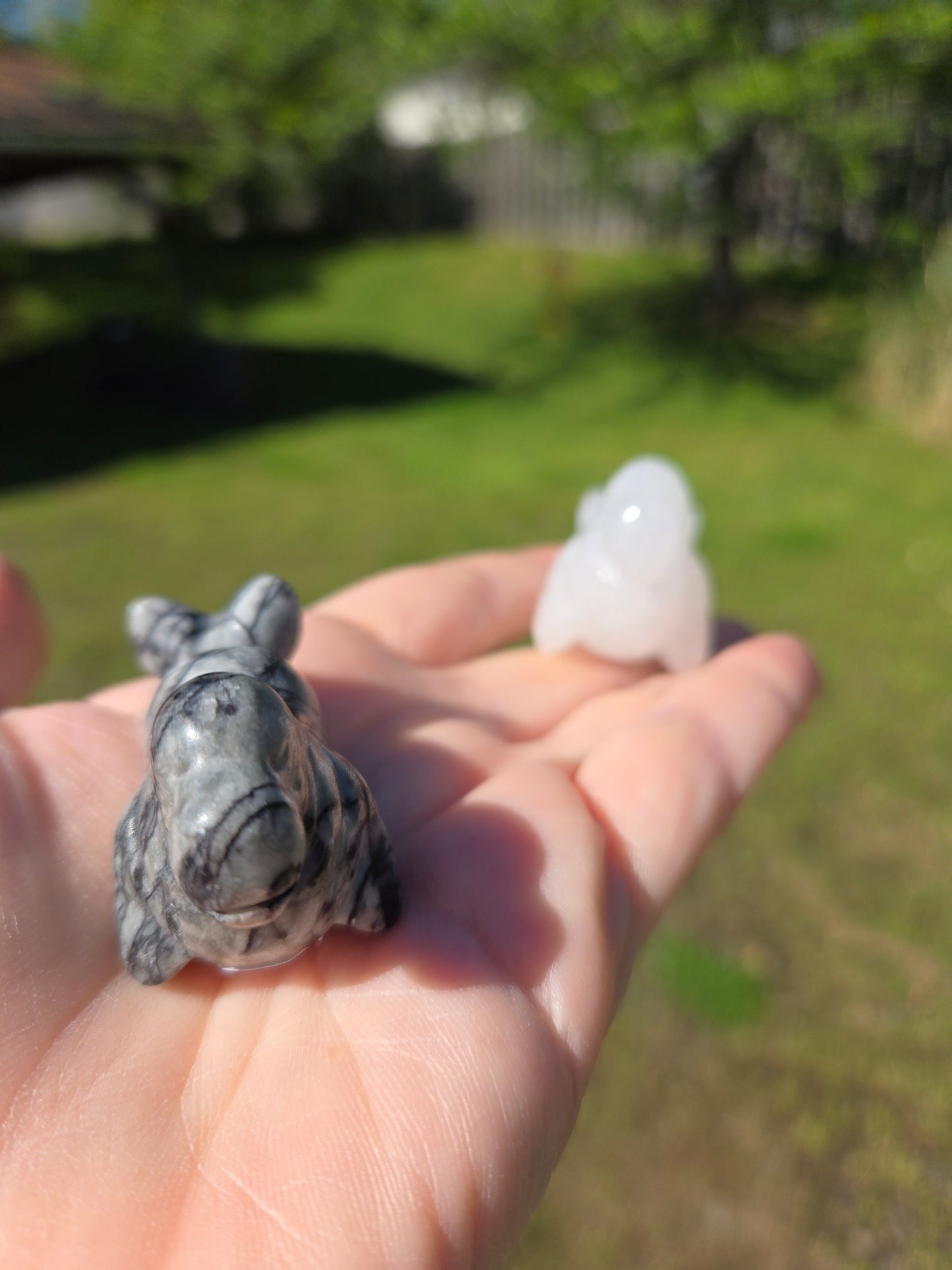 Seal Carving