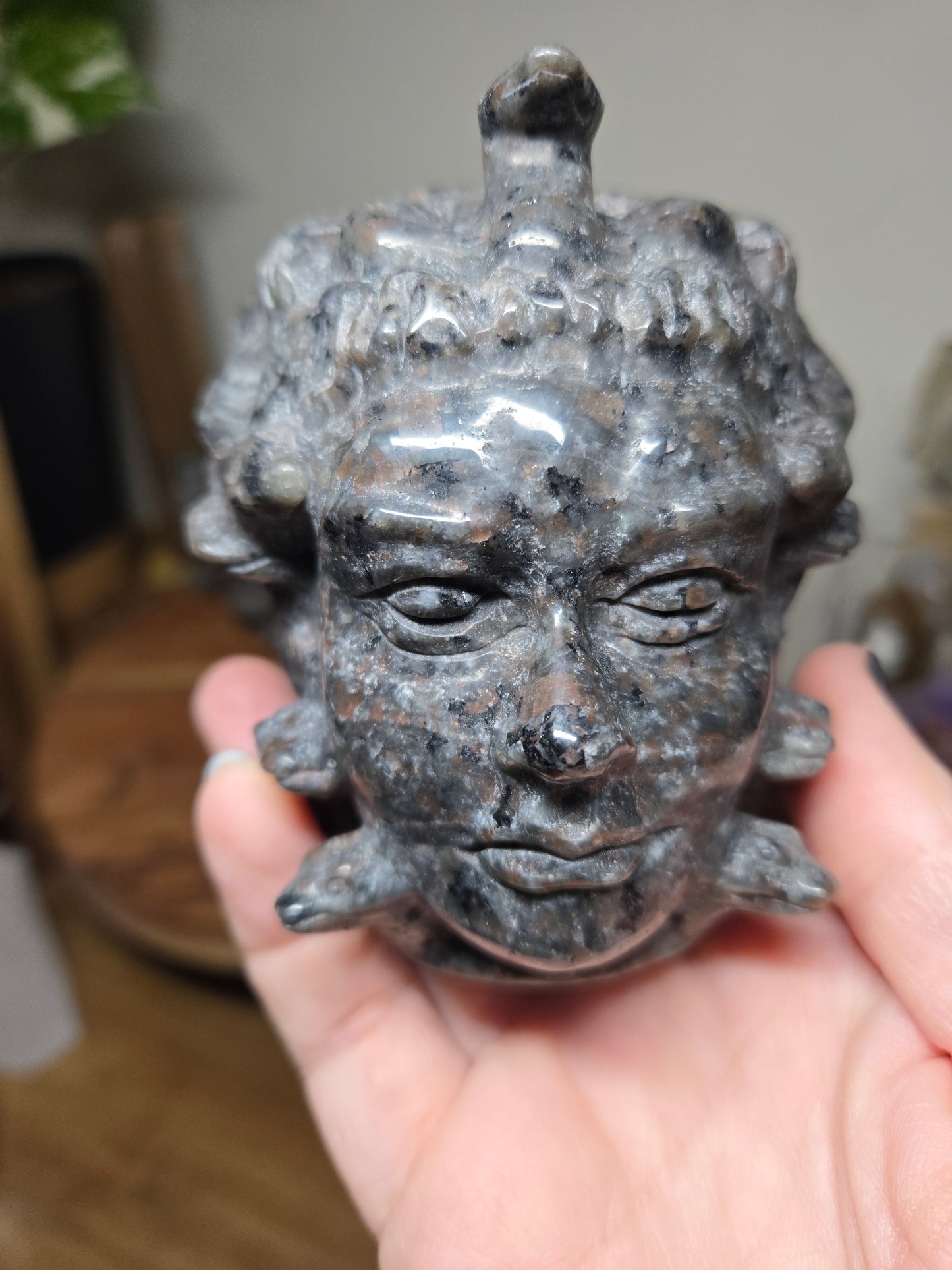 Medusa Head Yooperlite