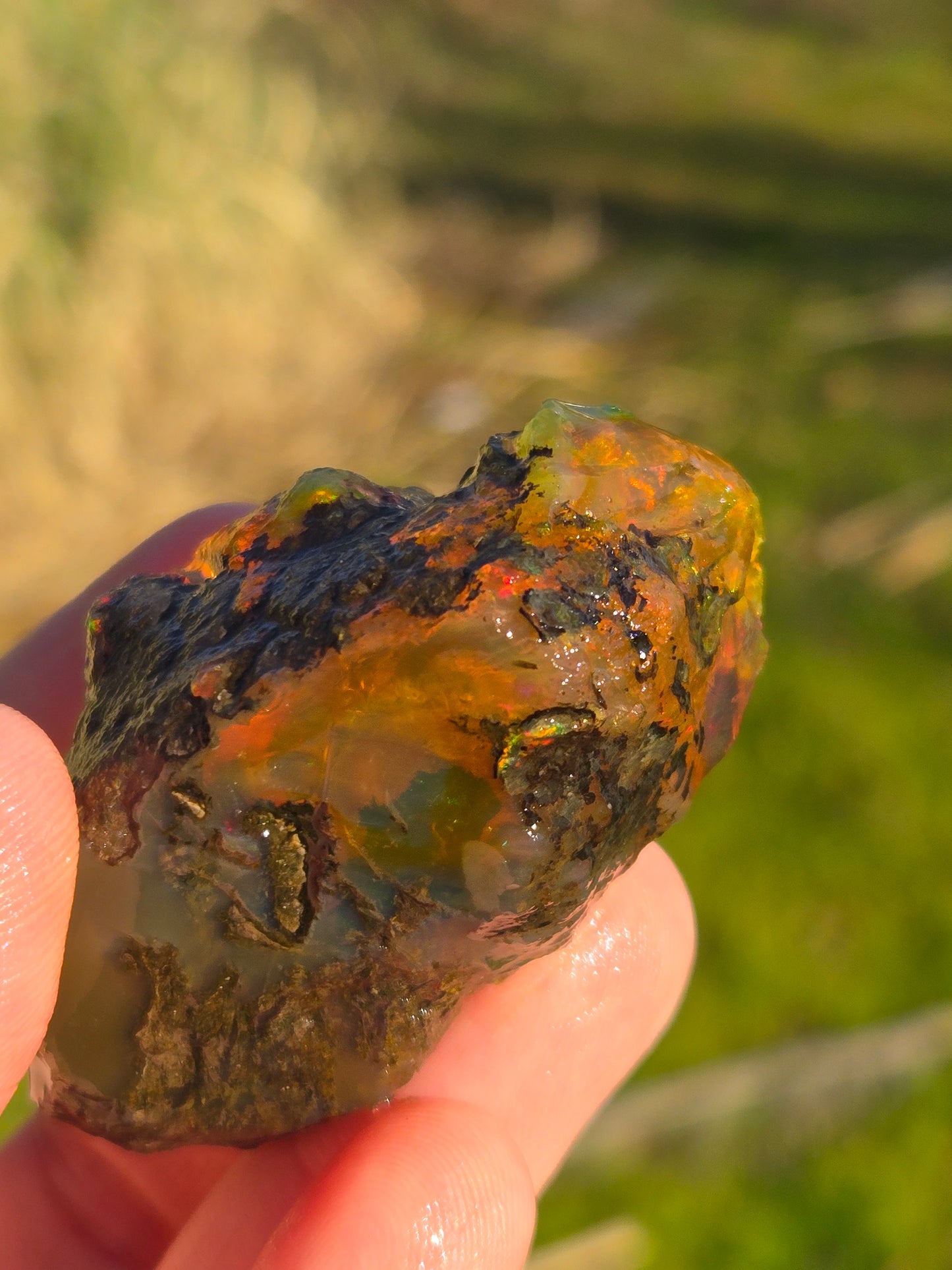 Ethiopian Water Opal (5)