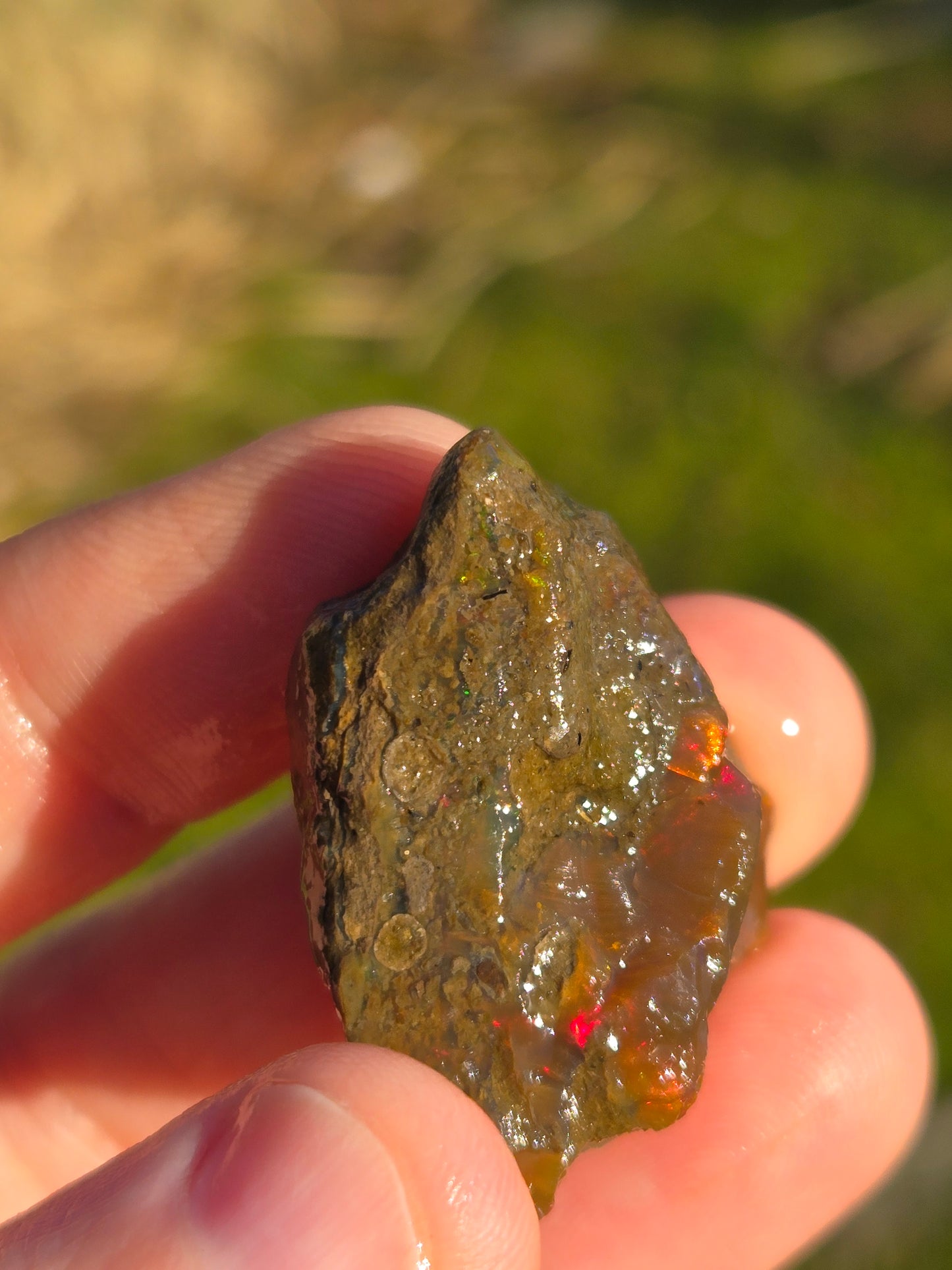 Ethiopian Water Opal (2)