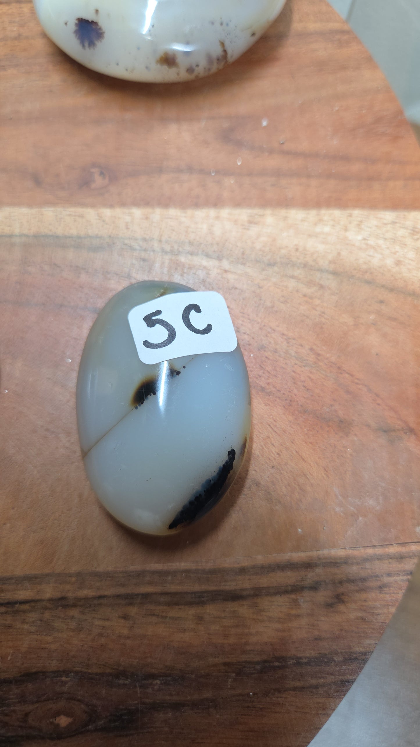 Dendritic Agate Palms