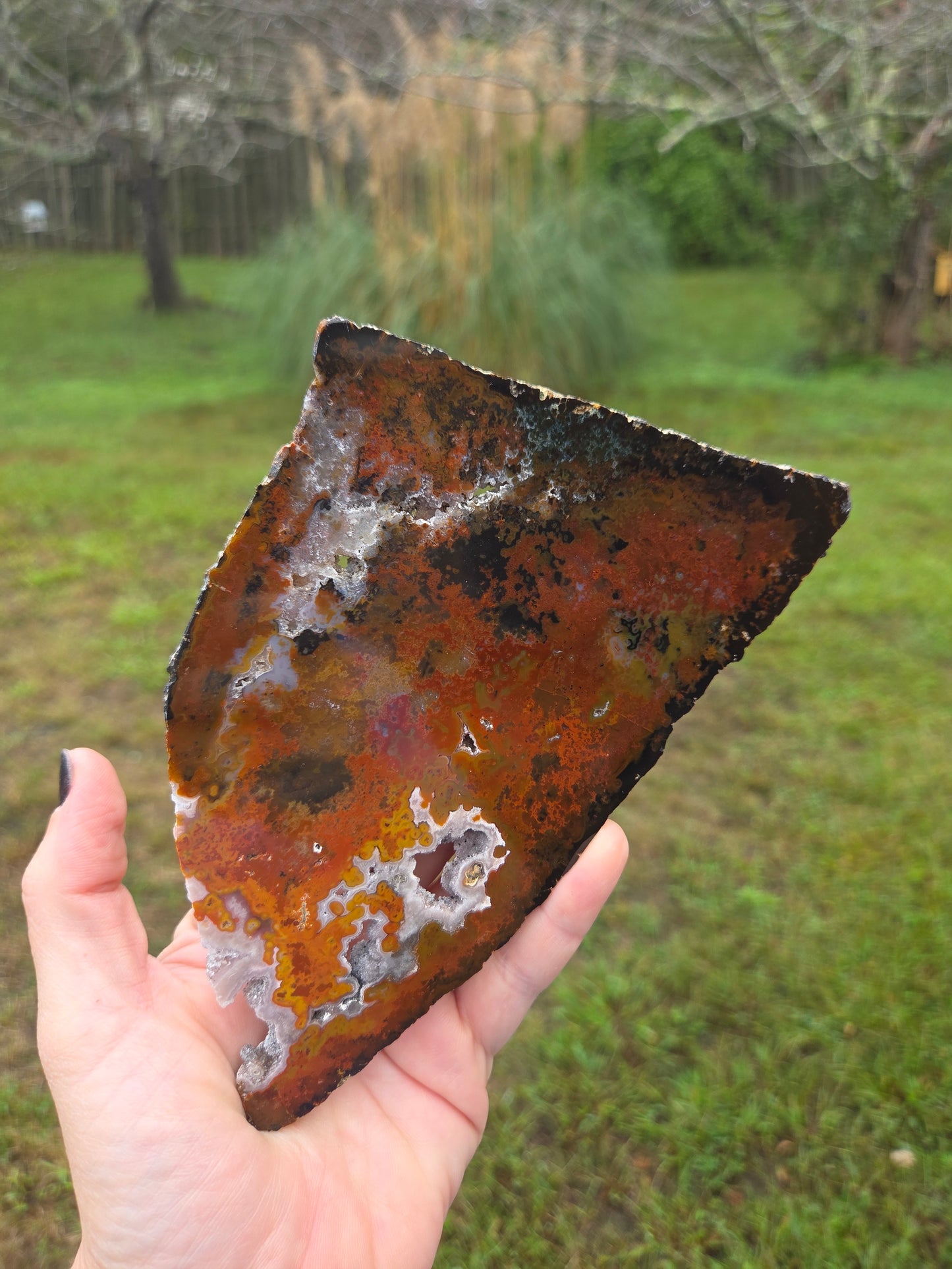 Comment to Claim thestarr141