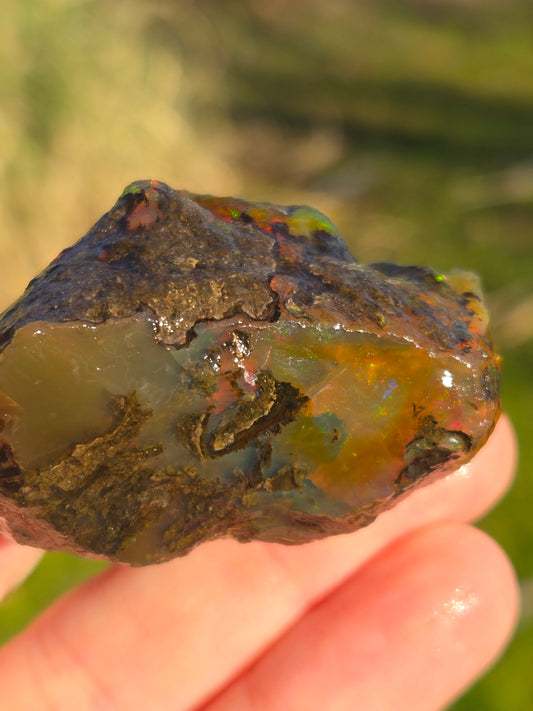 Ethiopian Water Opal (5)