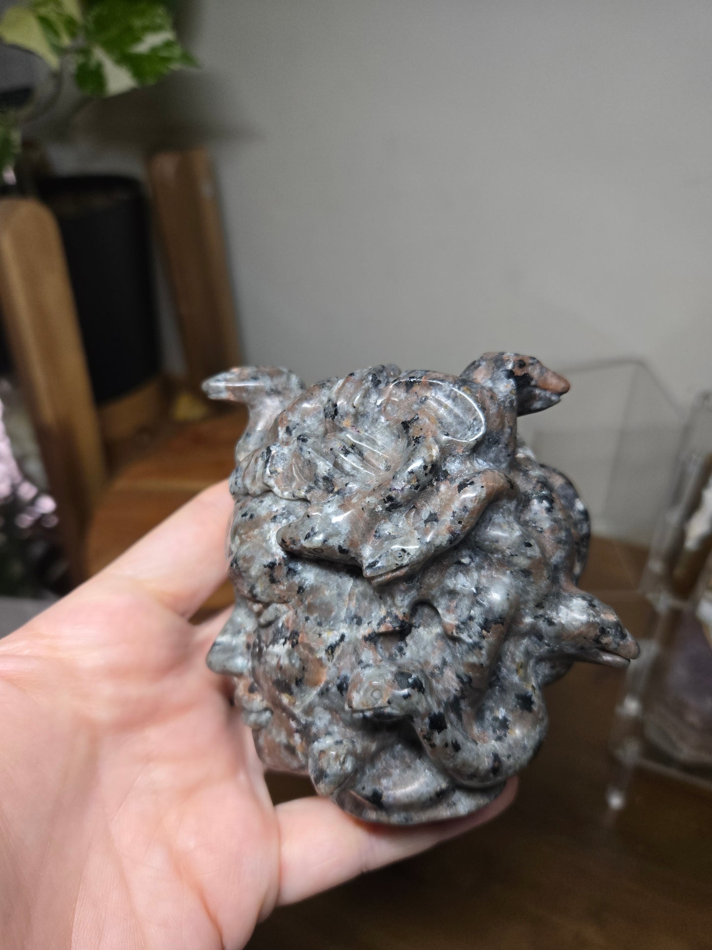 Medusa Head Yooperlite