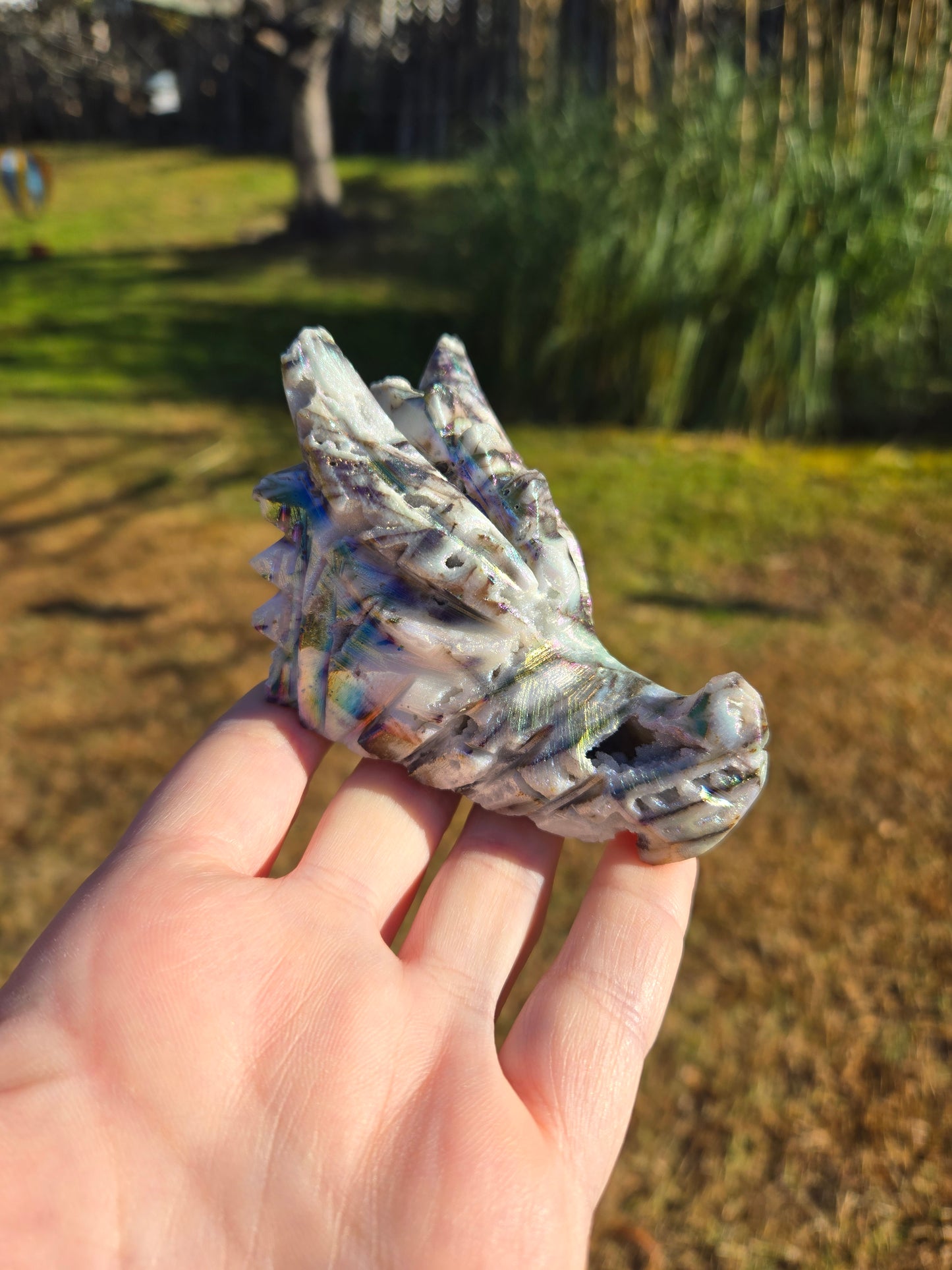 Aura Coated Sphalerite Dragon Head