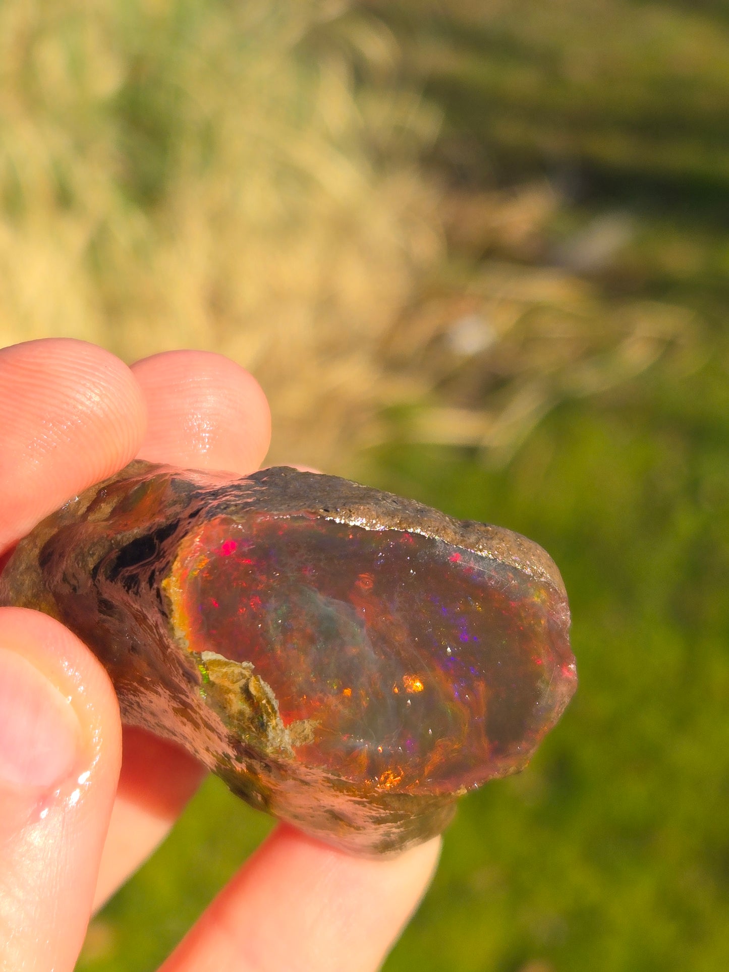 Ethiopian Water Opal (3)