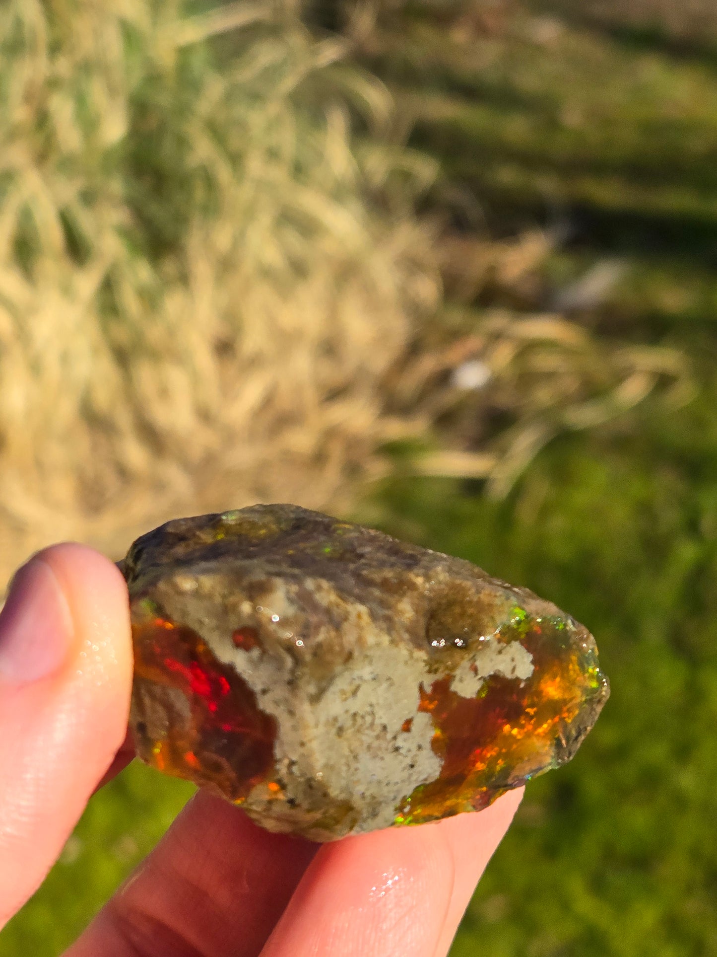 Ethiopian Water Opal (3)