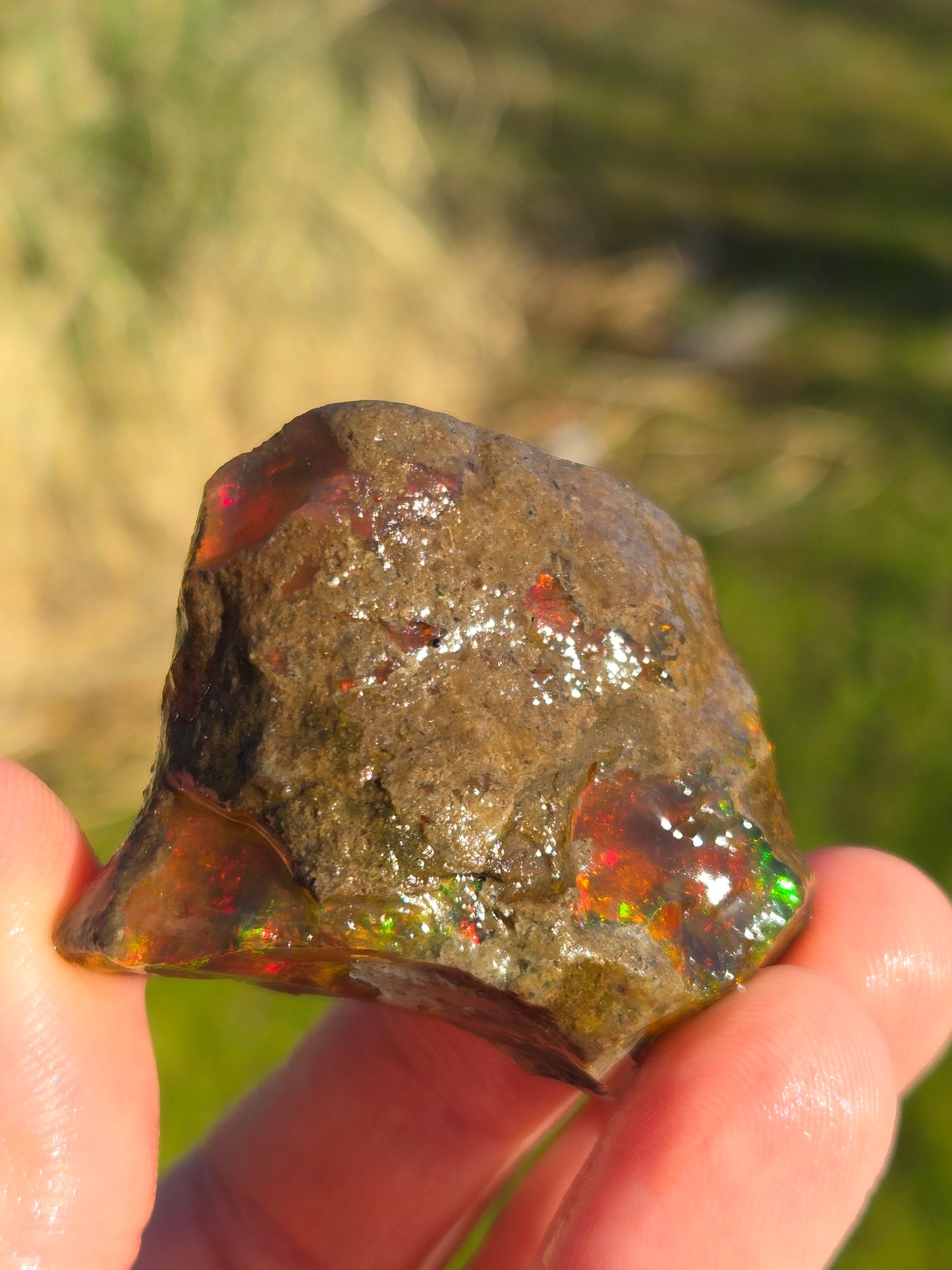 Ethiopian Water Opal (3)