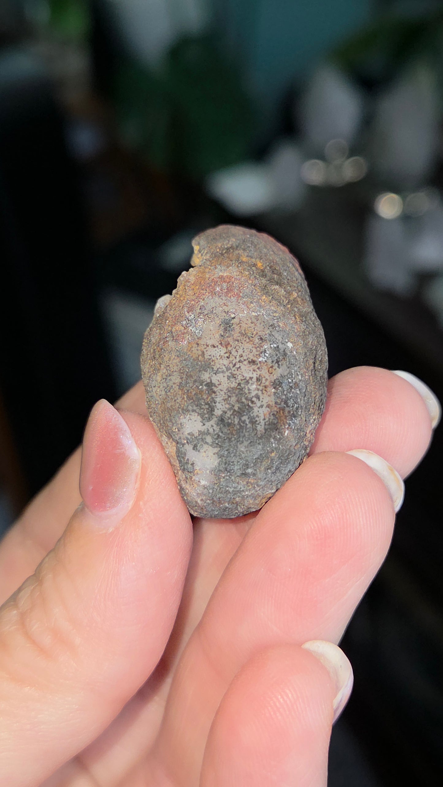 Coyamito Agate Geodes from Mexico