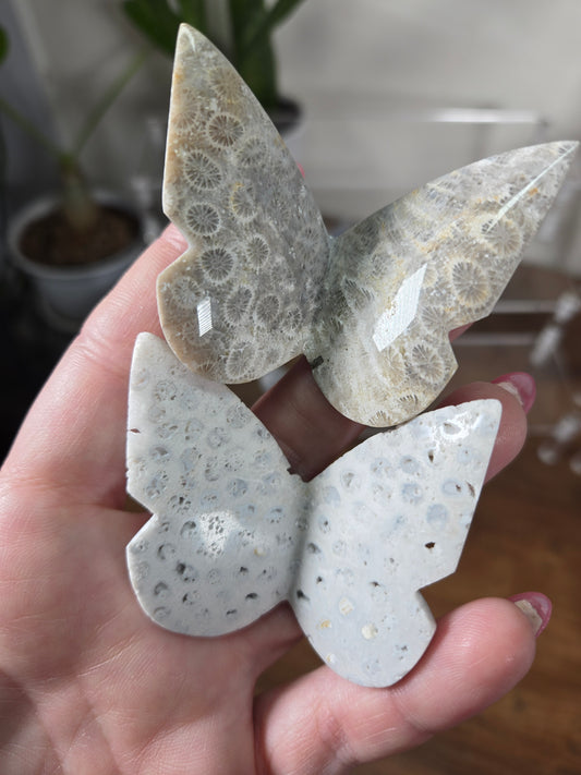 Comment to Claim Kat