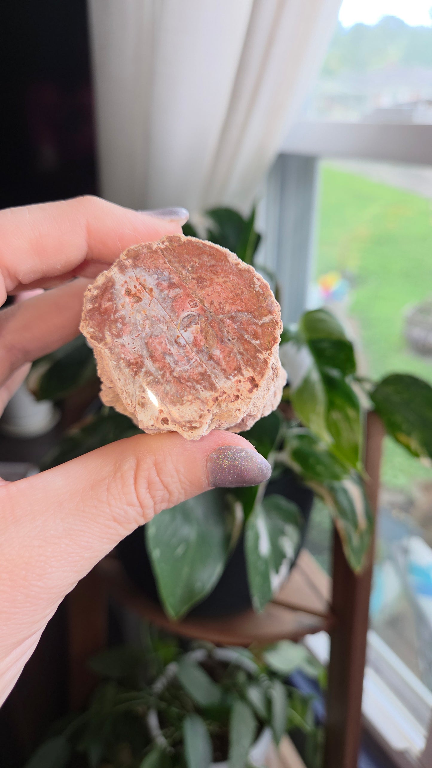 Petrified Wood Log (18b)