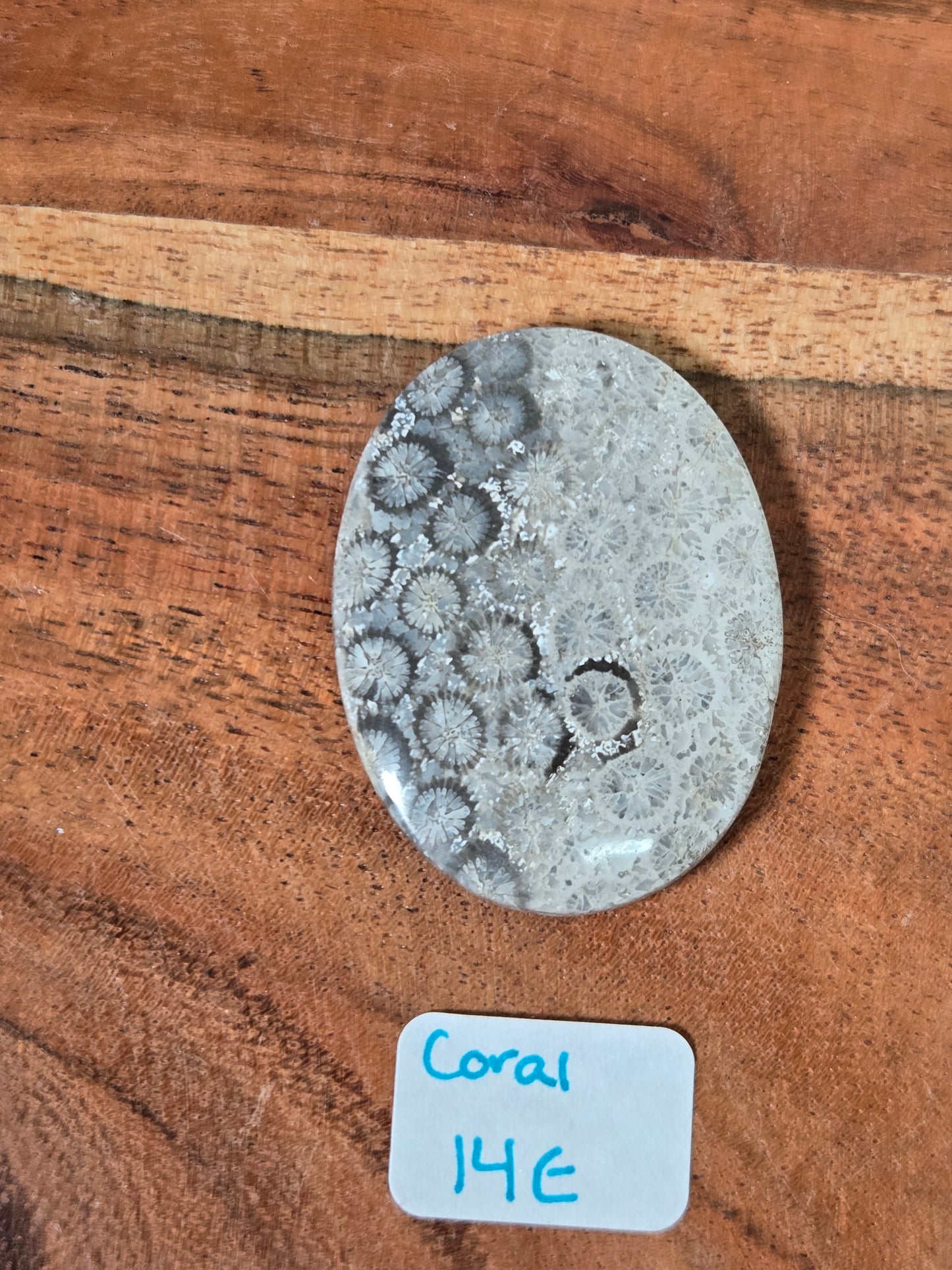 Coral Cabochon
