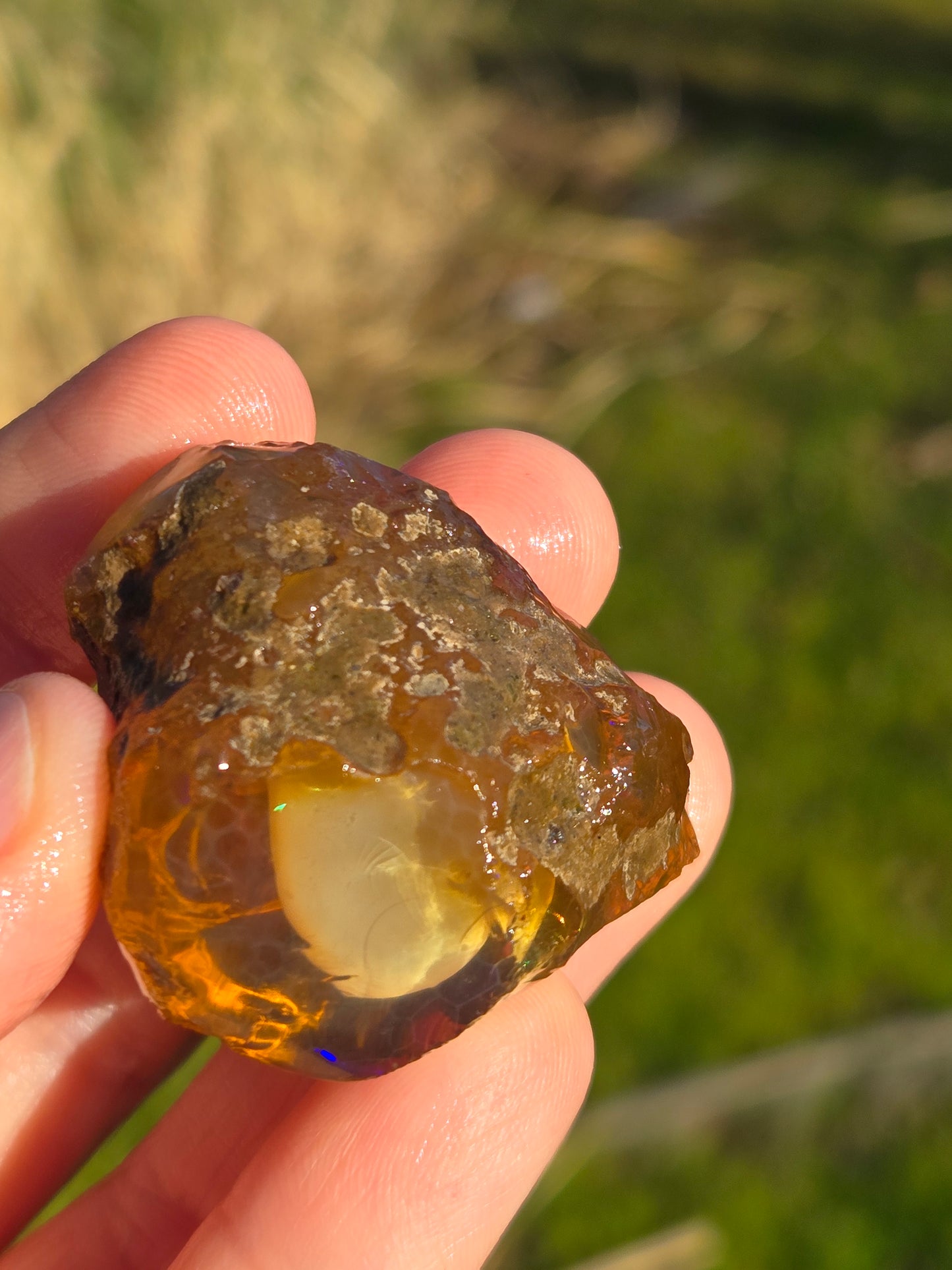 Ethiopian Water Opal with Egg(4)