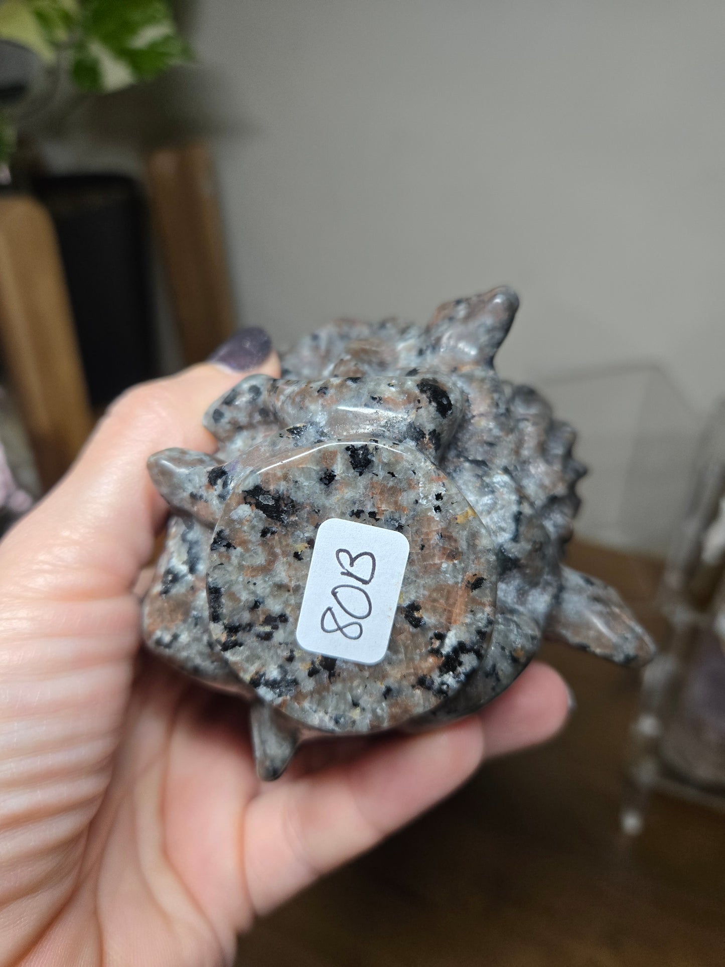 Medusa Head Yooperlite