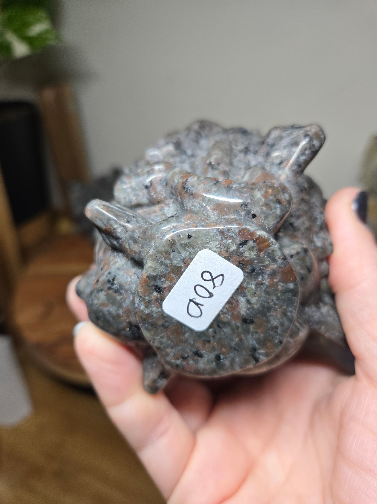 Medusa Head Yooperlite