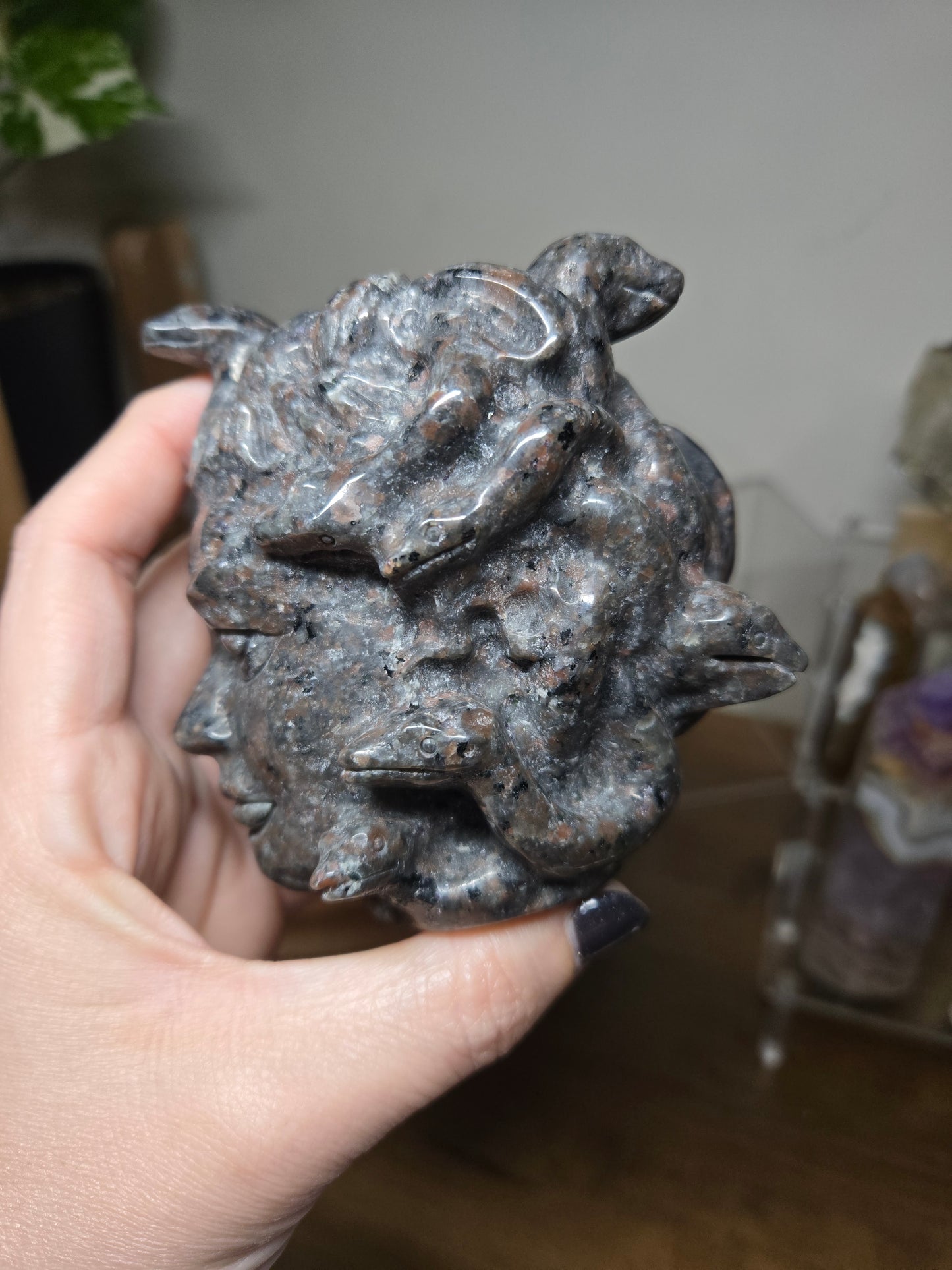 Medusa Head Yooperlite