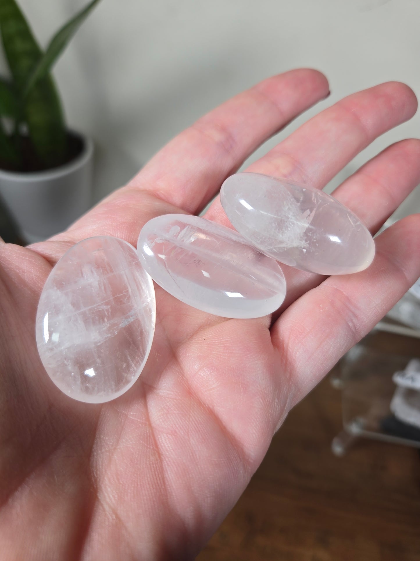 Girasol Tumble/ Palm