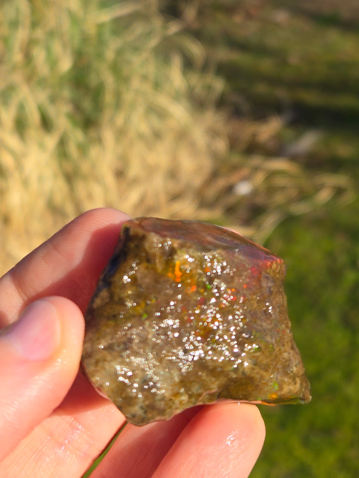 Ethiopian Water Opal (3)