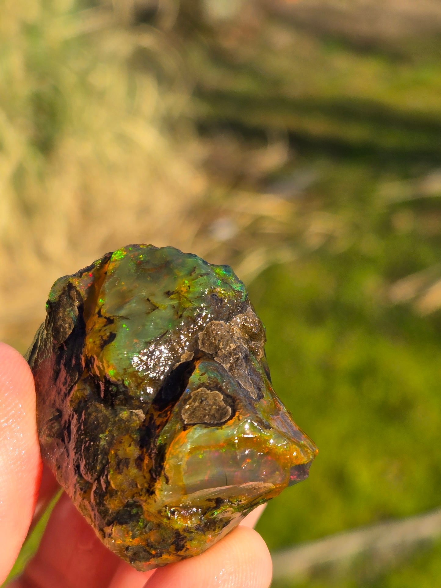 Ethiopian Water Opal (5)
