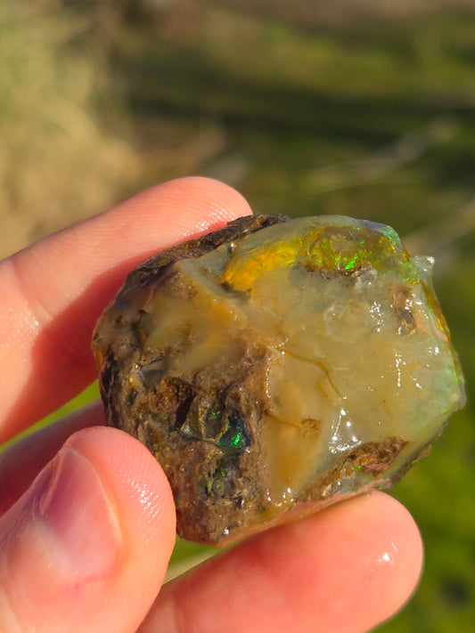 Ethiopian Water Opal (7)