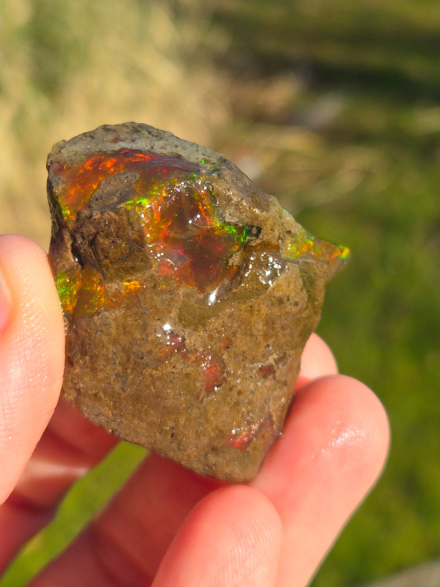 Ethiopian Water Opal (3)