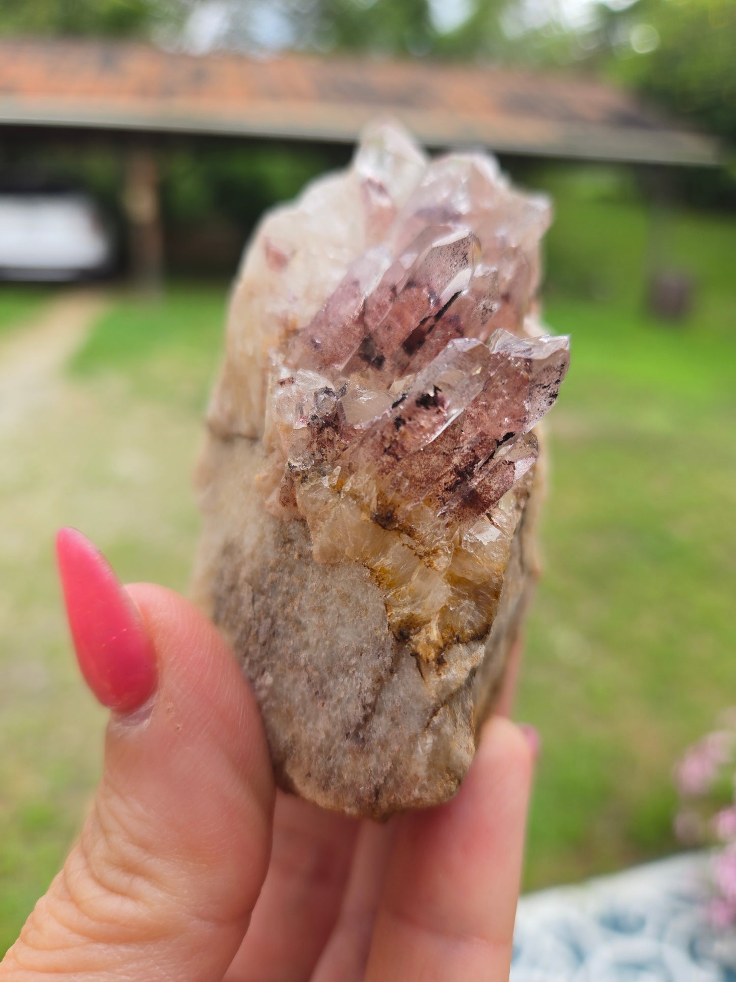 Live Sale thestarr141