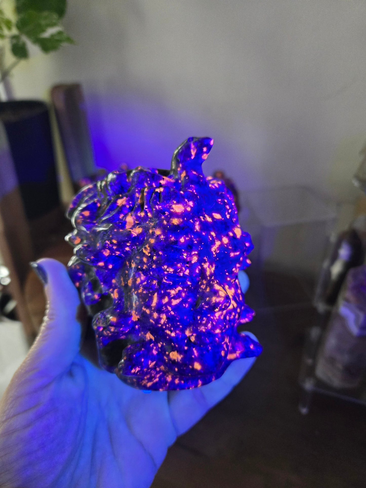 Medusa Head Yooperlite