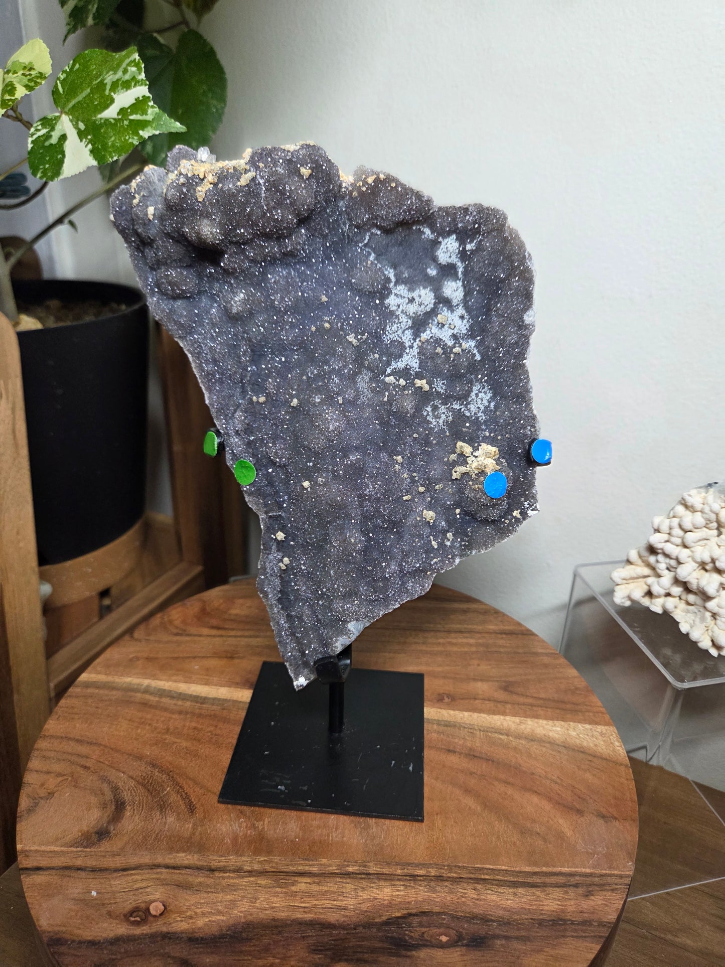 Comment to claim Michelle