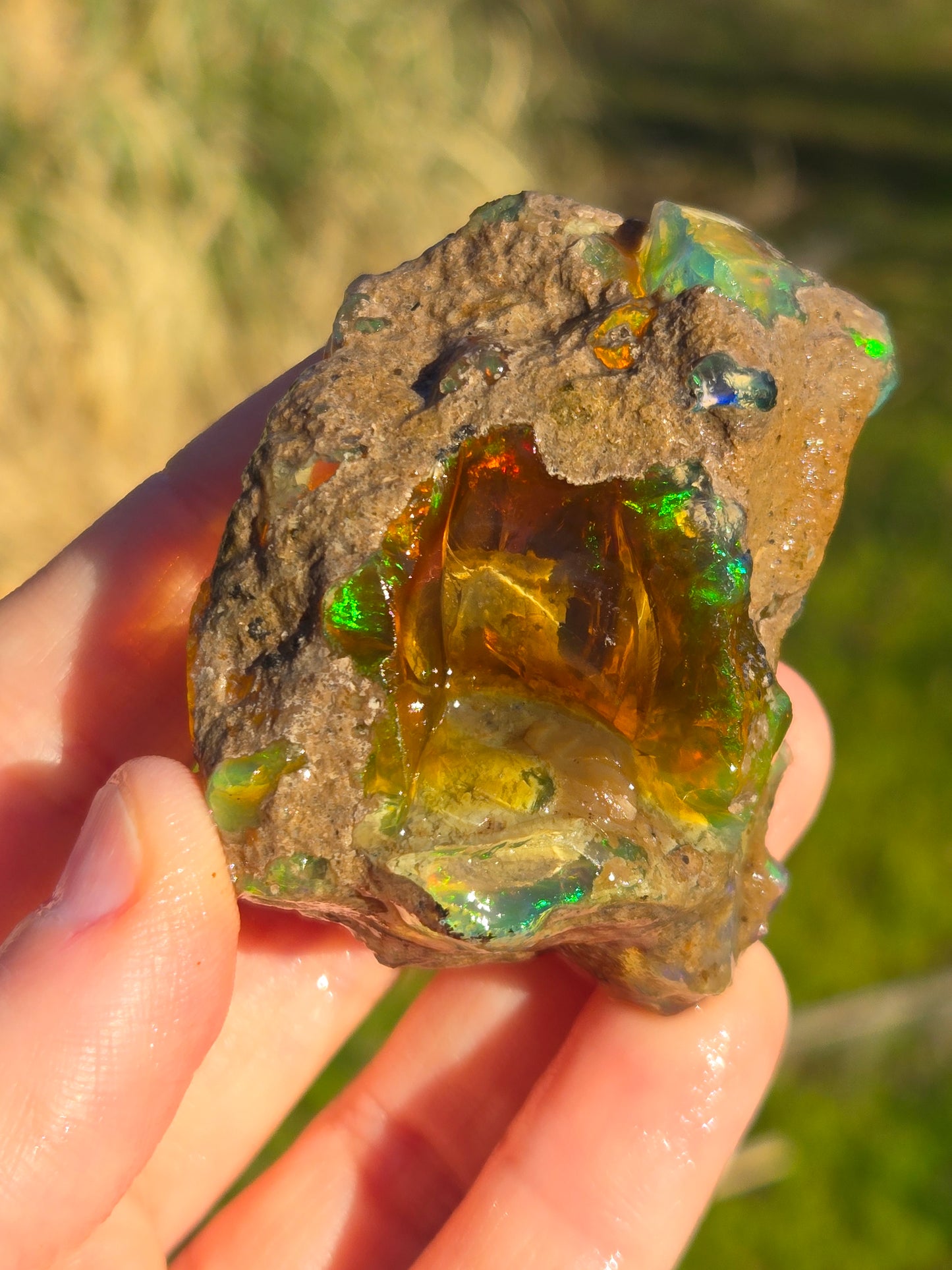 Ethiopian Water Opal (6)