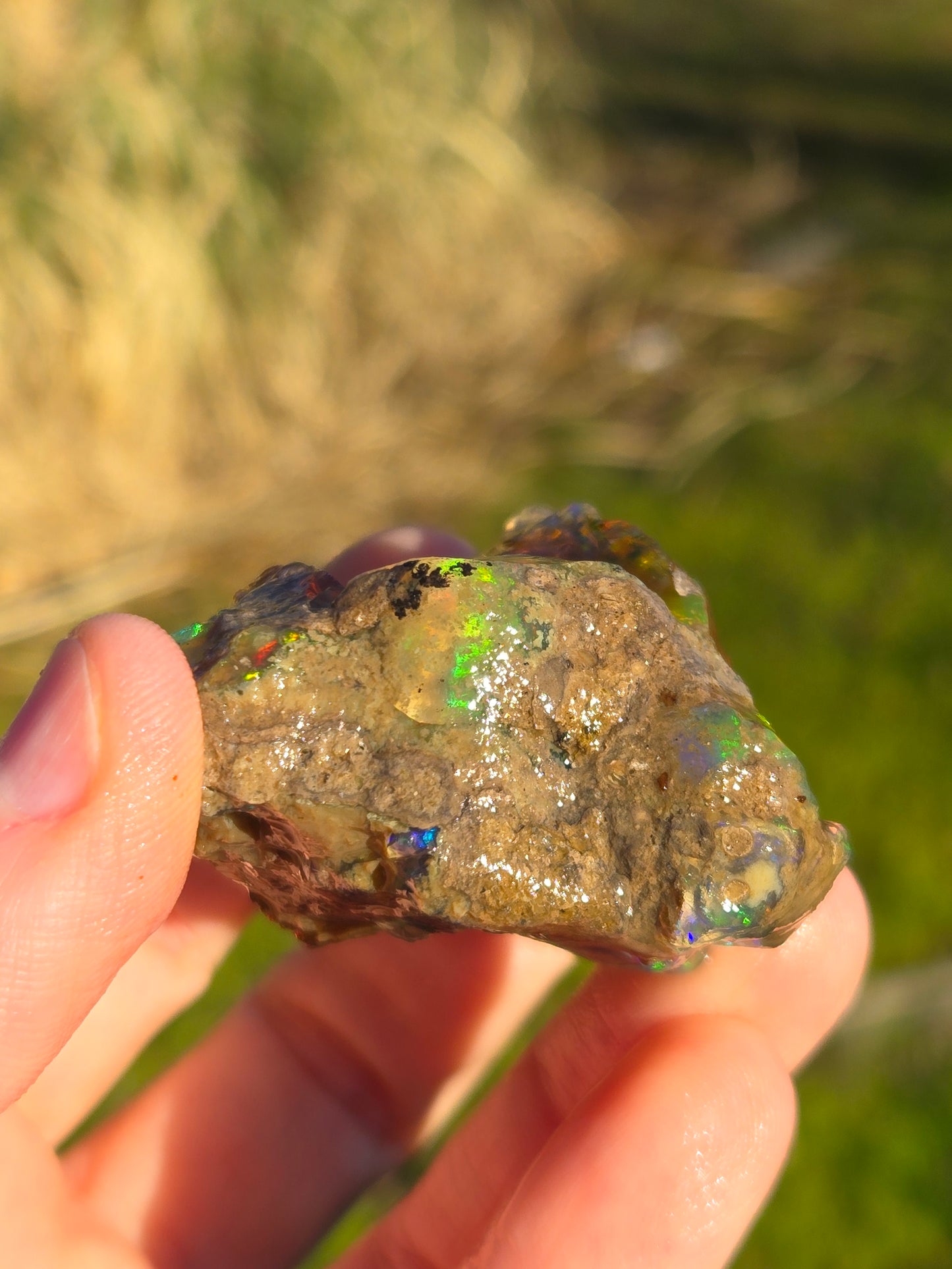 Ethiopian Water Opal (6)