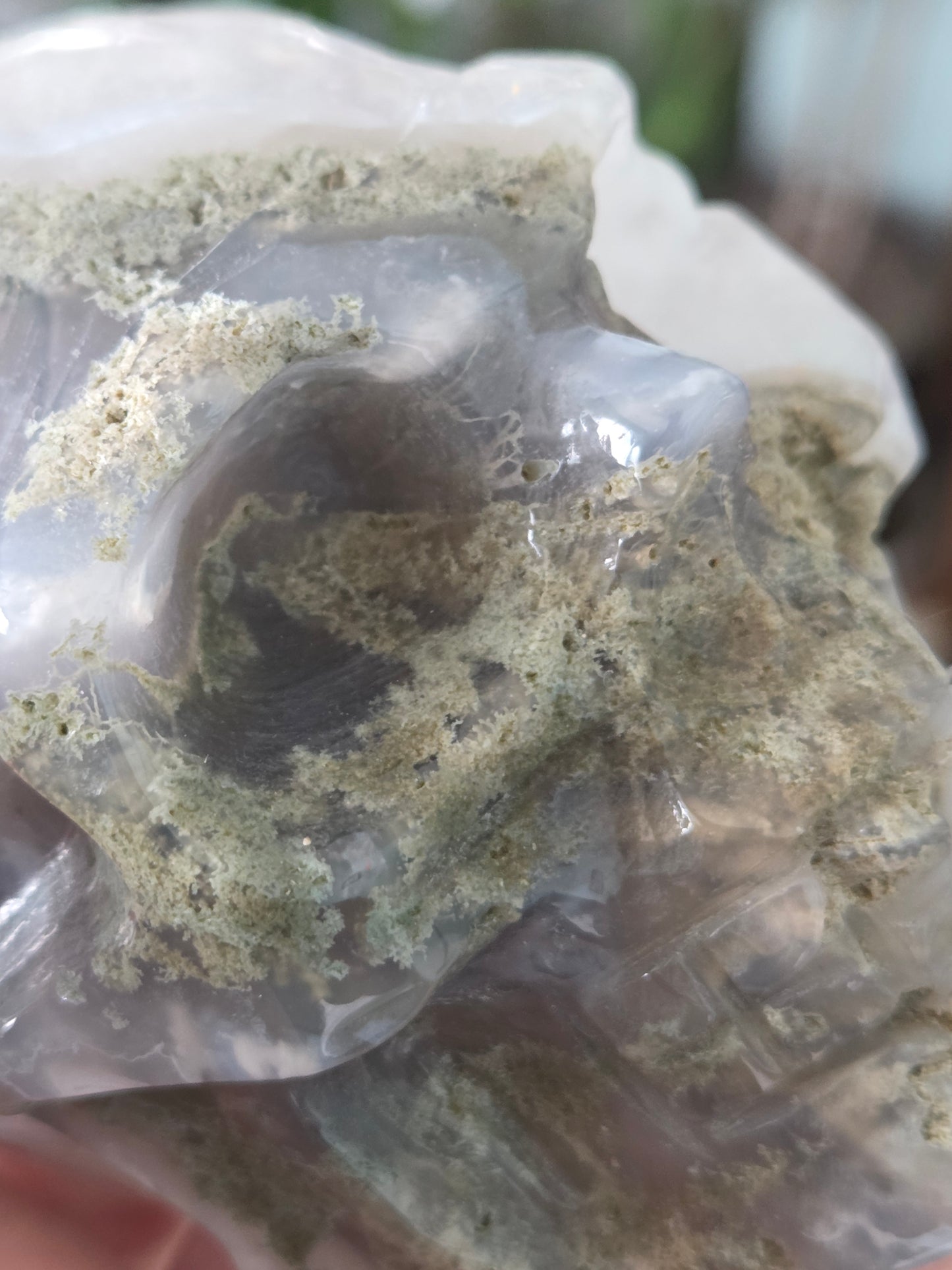 Moss Skull
