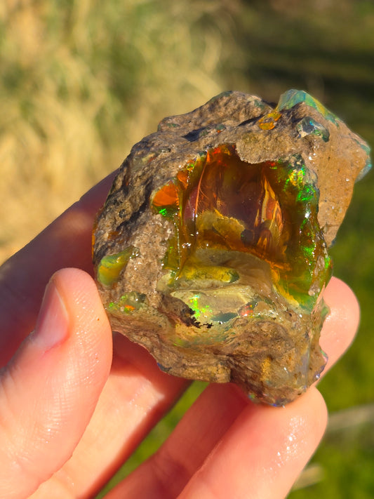 Ethiopian Water Opal (6)