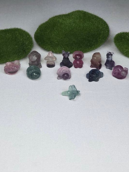 Fluorite Minis Intuitively Chosen