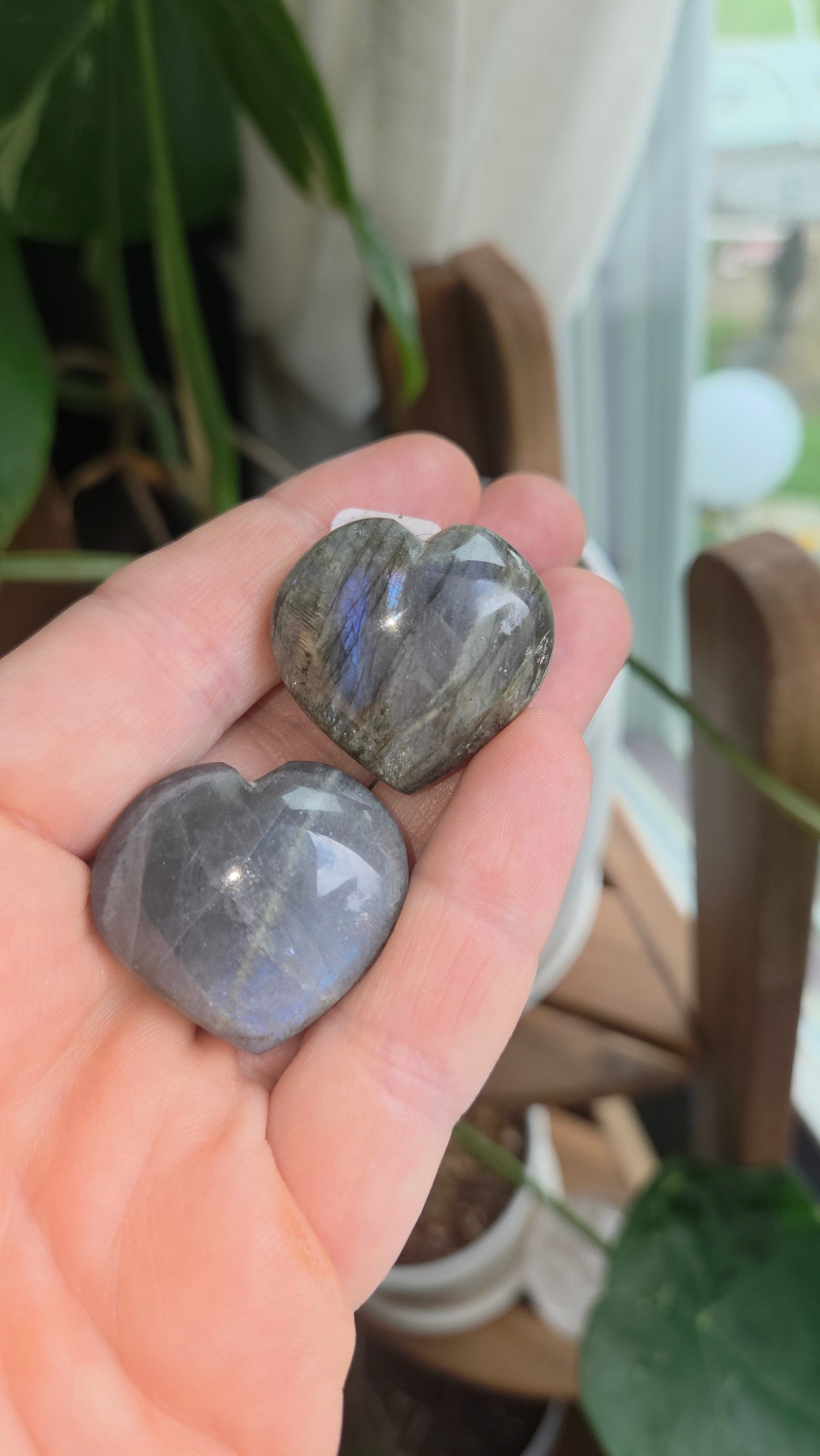 Lab Heart 💜