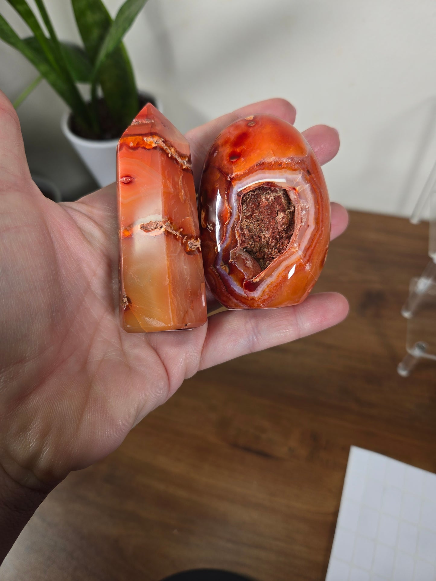 Live Sale thestarr141