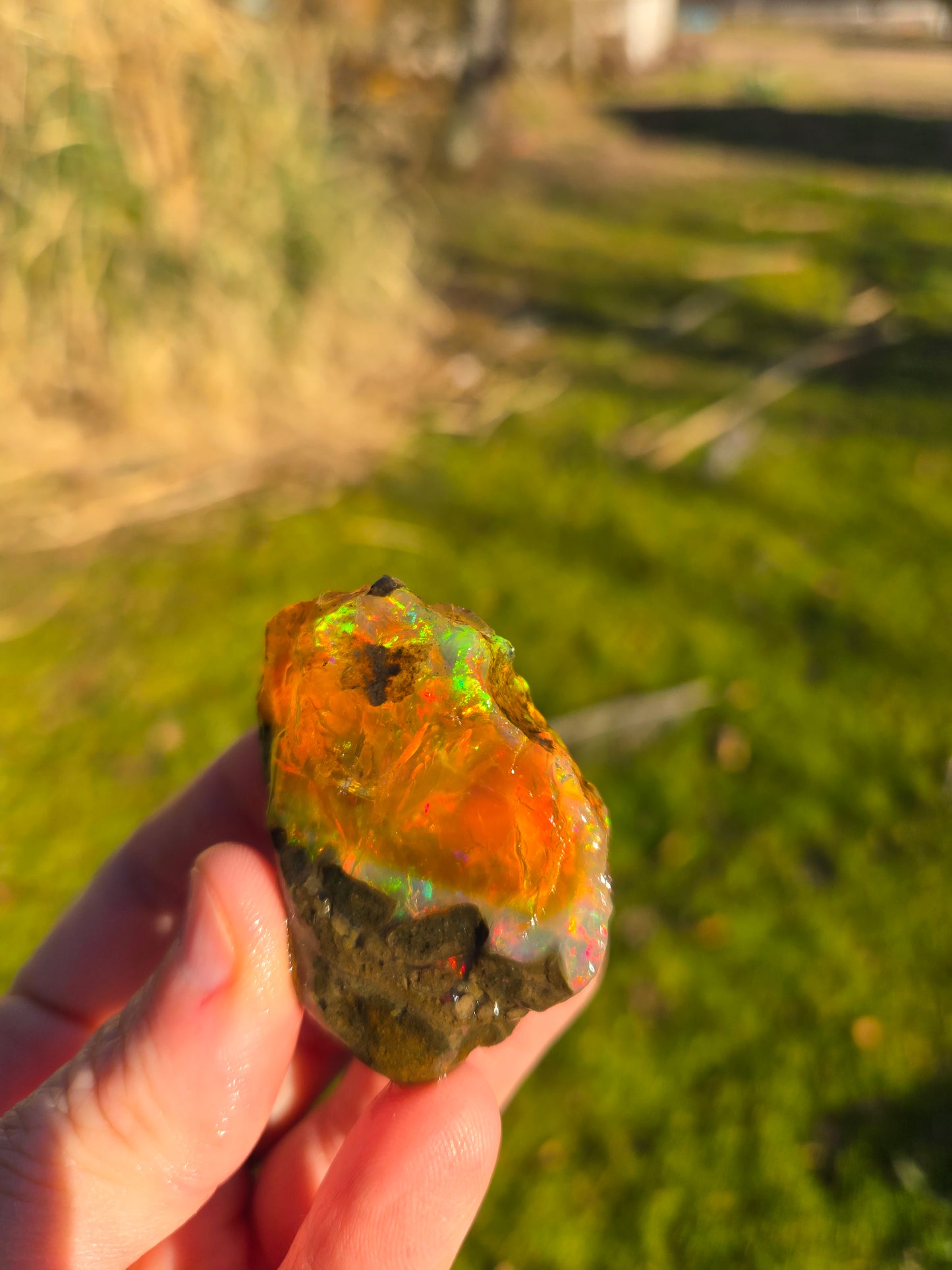 Ethiopian Water Opal