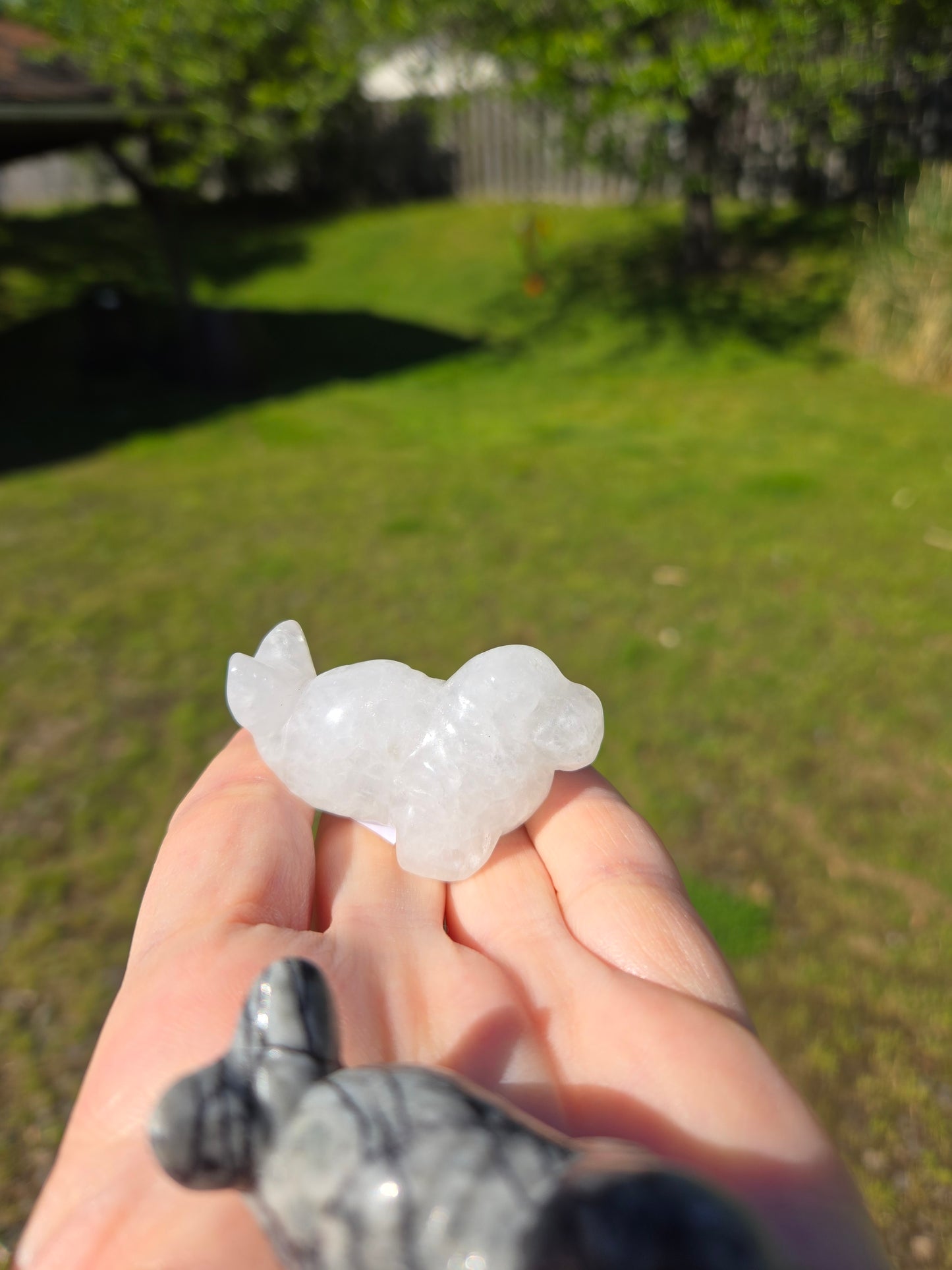 Seal Carving