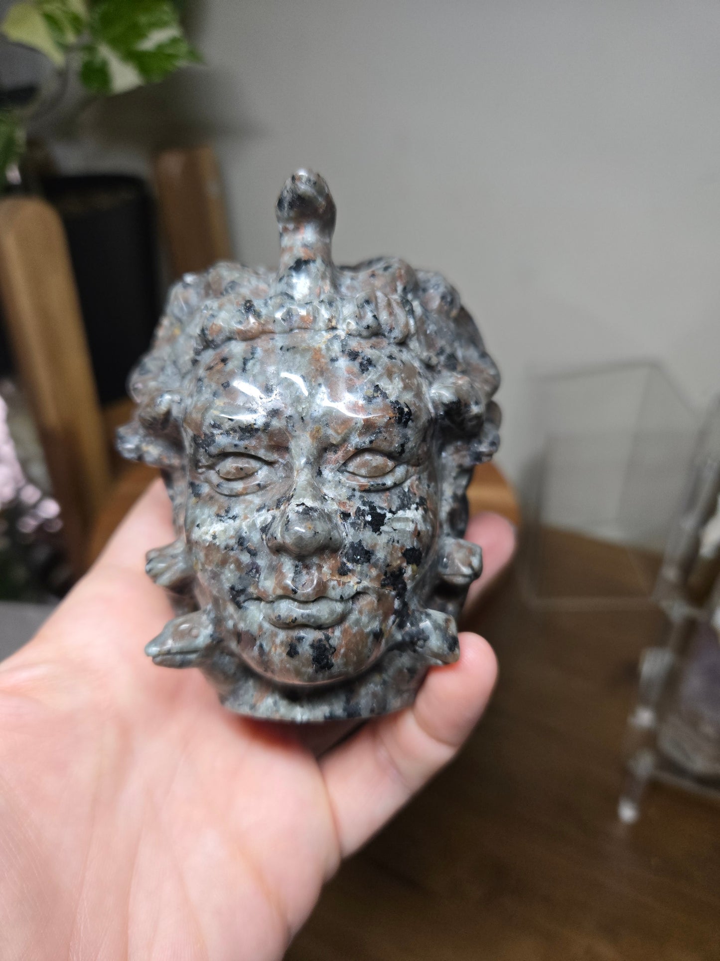 Medusa Head Yooperlite