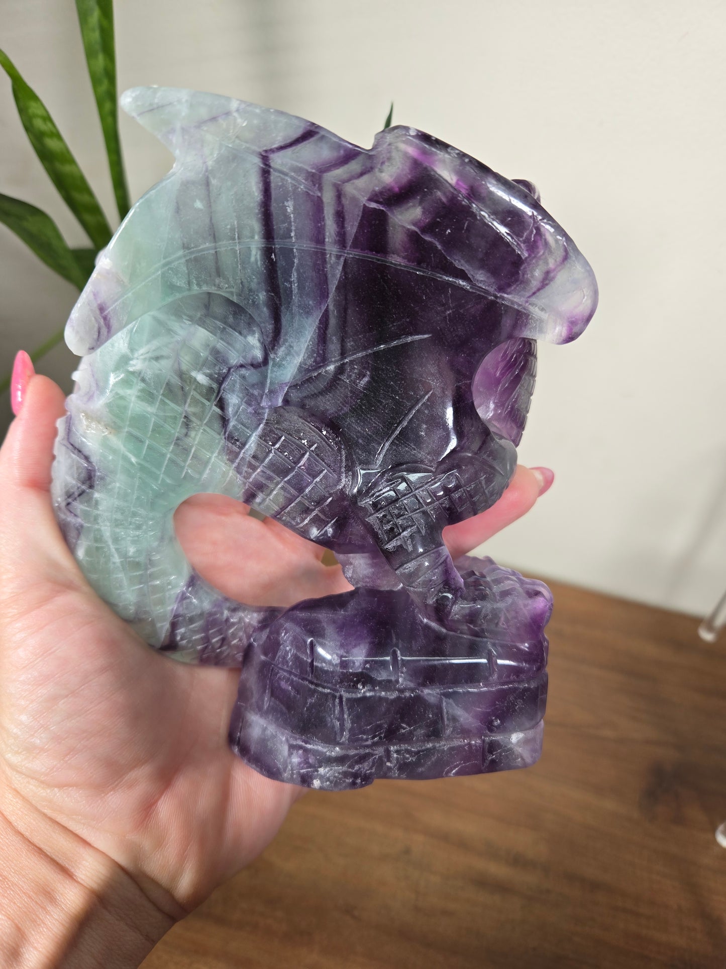 Fluorite Dragon
