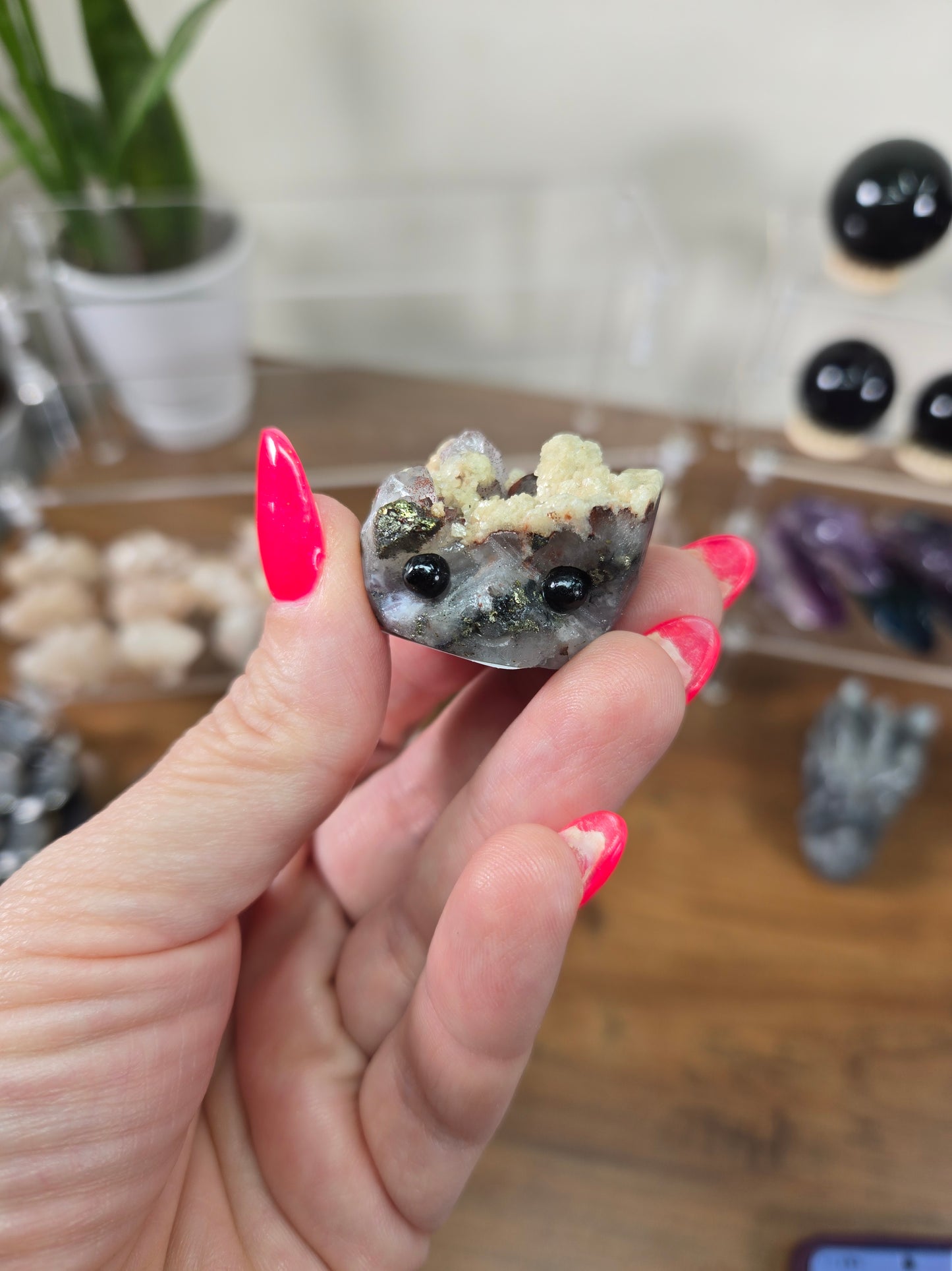 Live Sale thestarr141