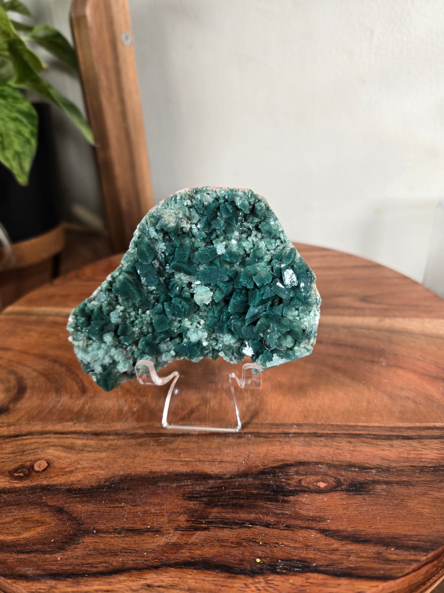 Comment to Claim Quincyiris