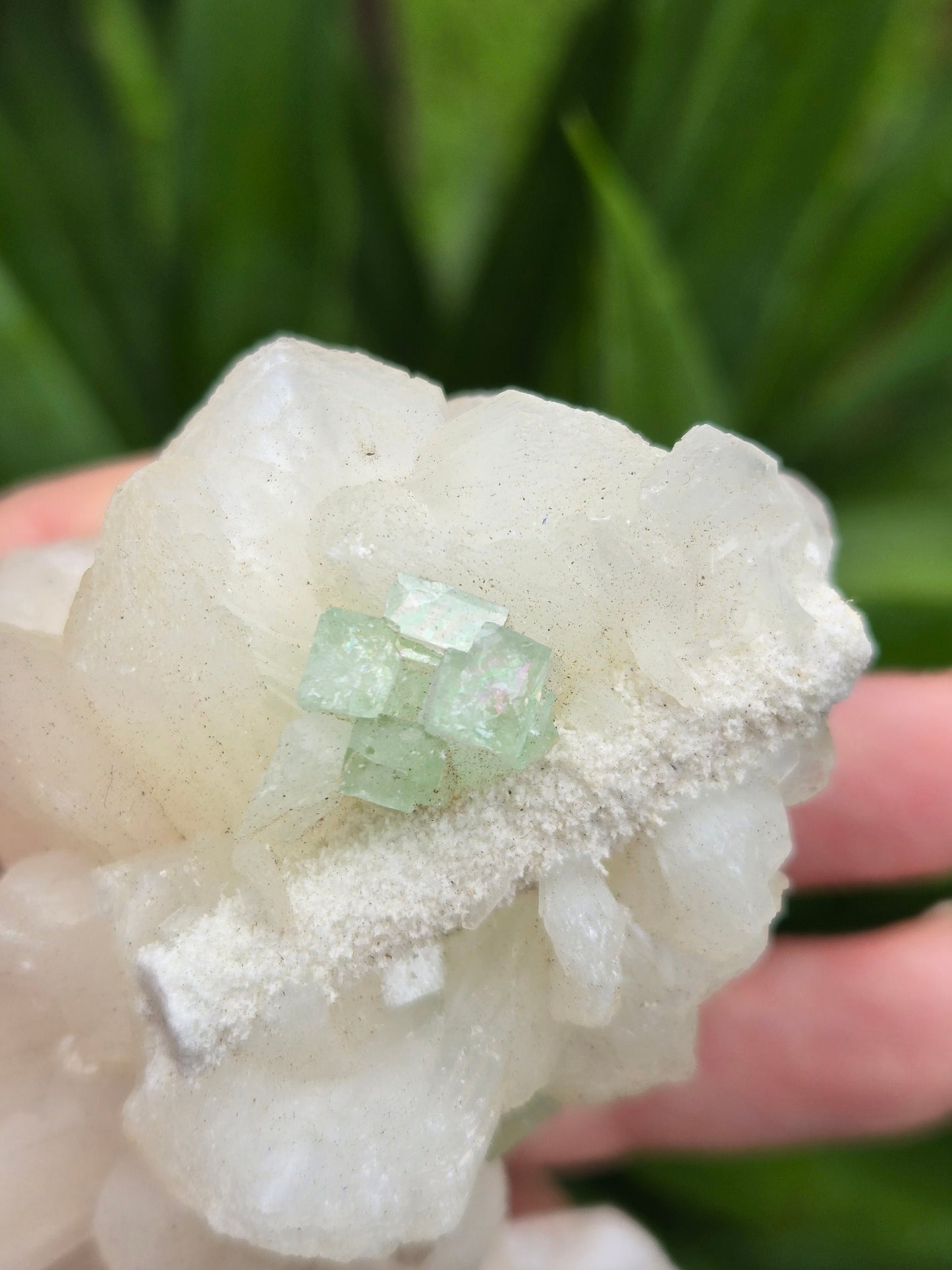 Green Apophyllite with Stilbite