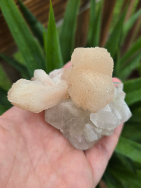 Peach Stilbite with Apophyllite