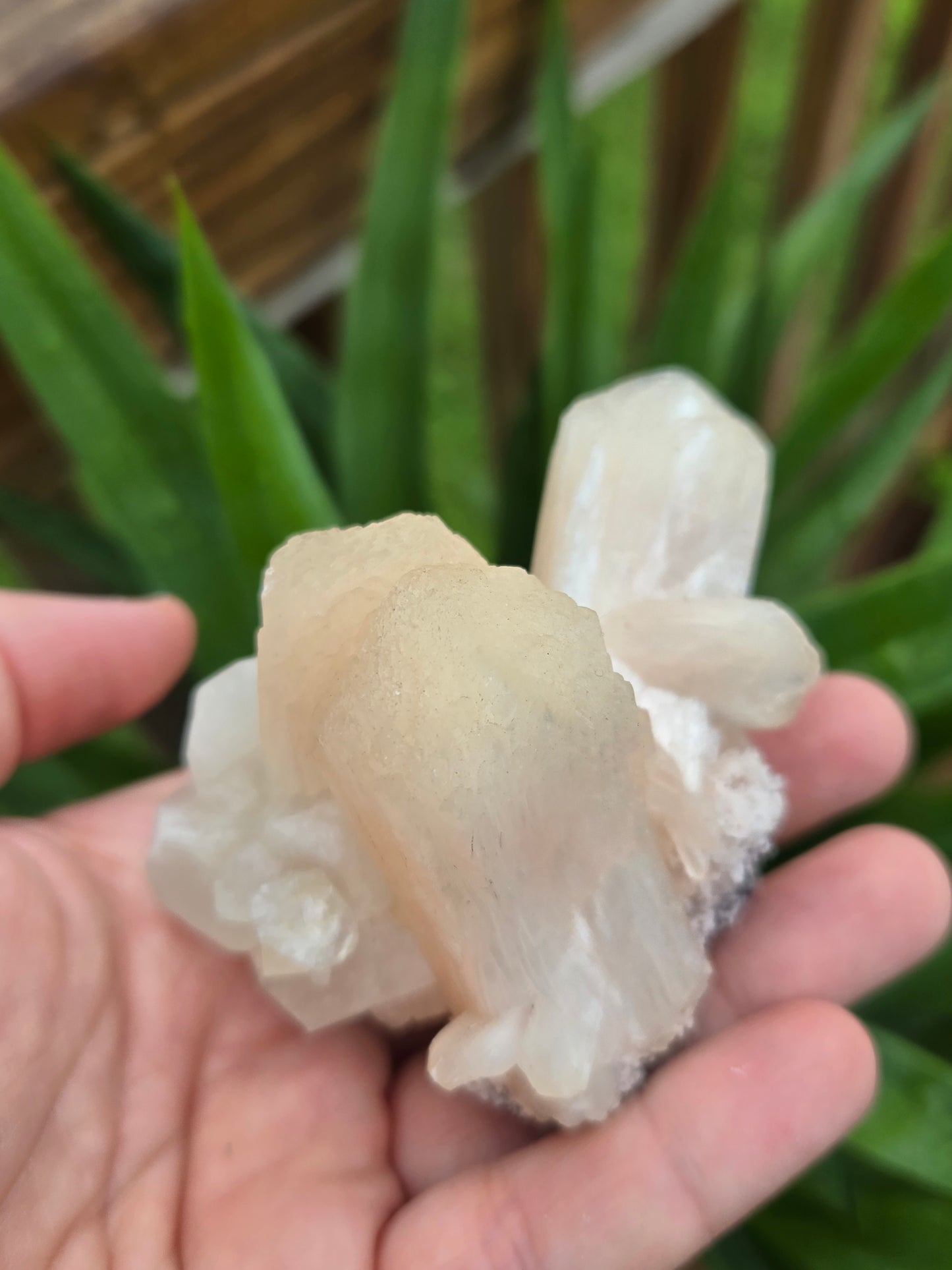 Peach Stilbite with Apophyllite