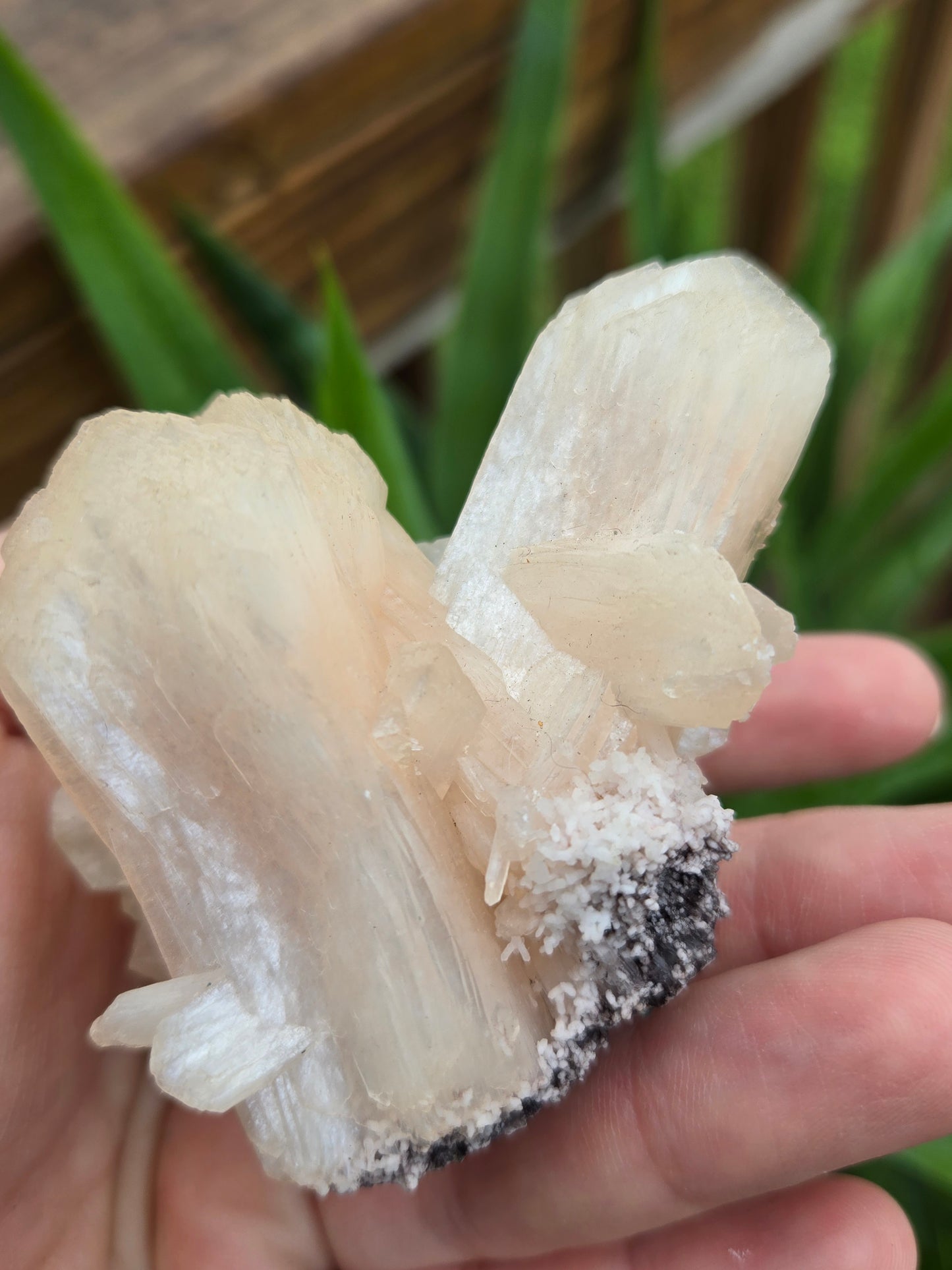 Peach Stilbite with Apophyllite